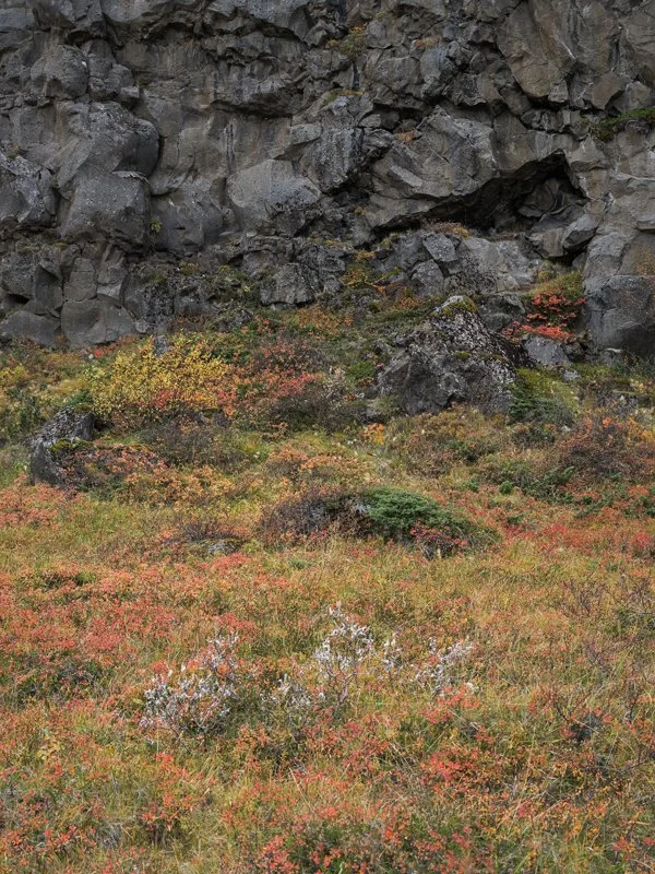 Iceland - Asbyrgi Wall