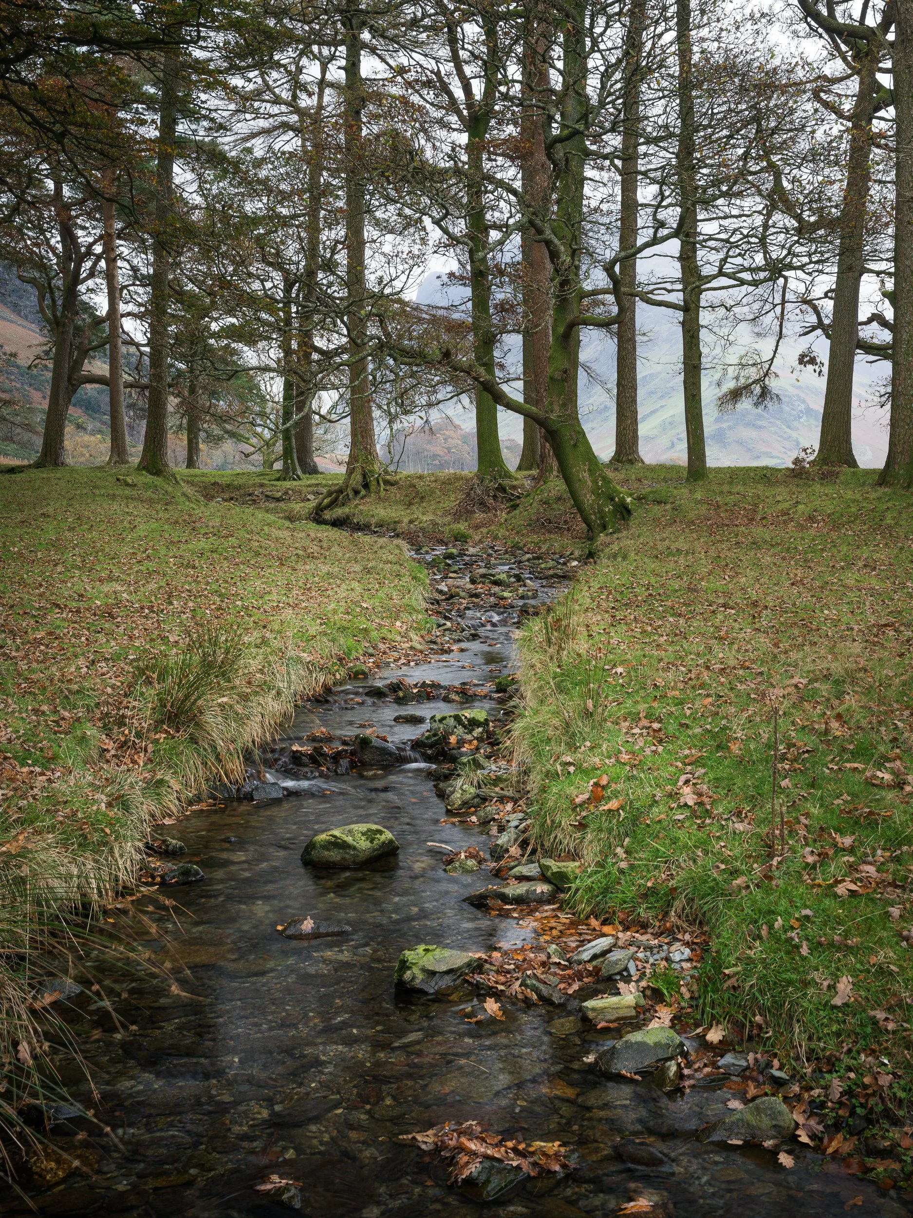 20241106-093411-HasselbladX2D 100C_Blog.jpg