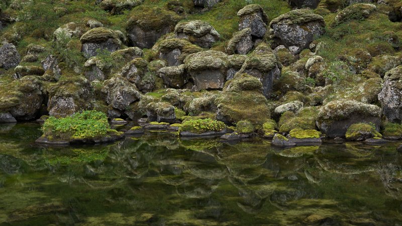 Iceland One-Off - Polarization