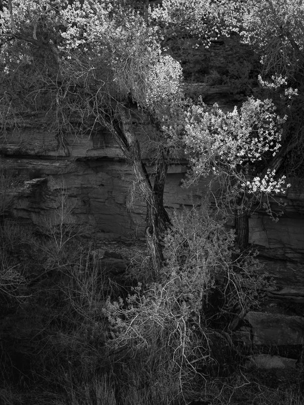 Revisiting Images - Valley of the Gods and Canyonlands