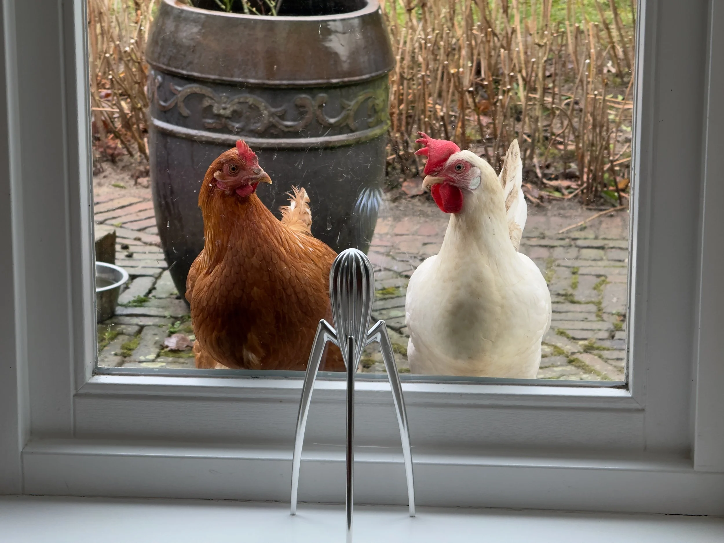 Don’t let her fool you!