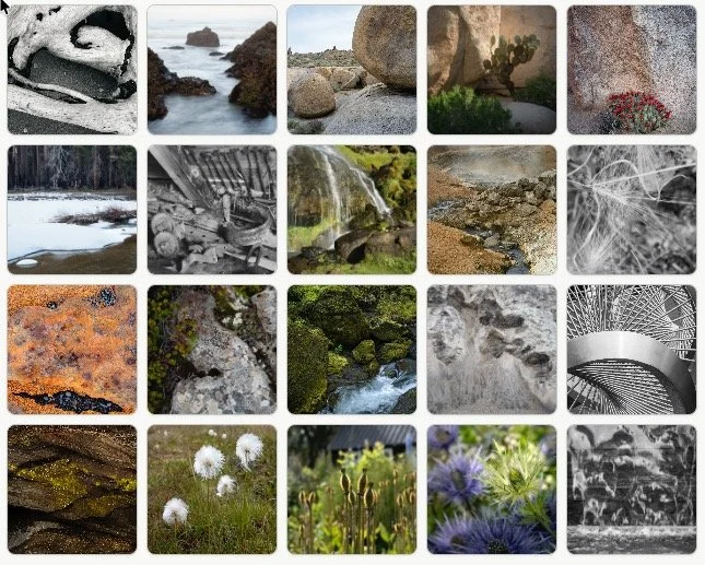 Old Dogs, New Tricks