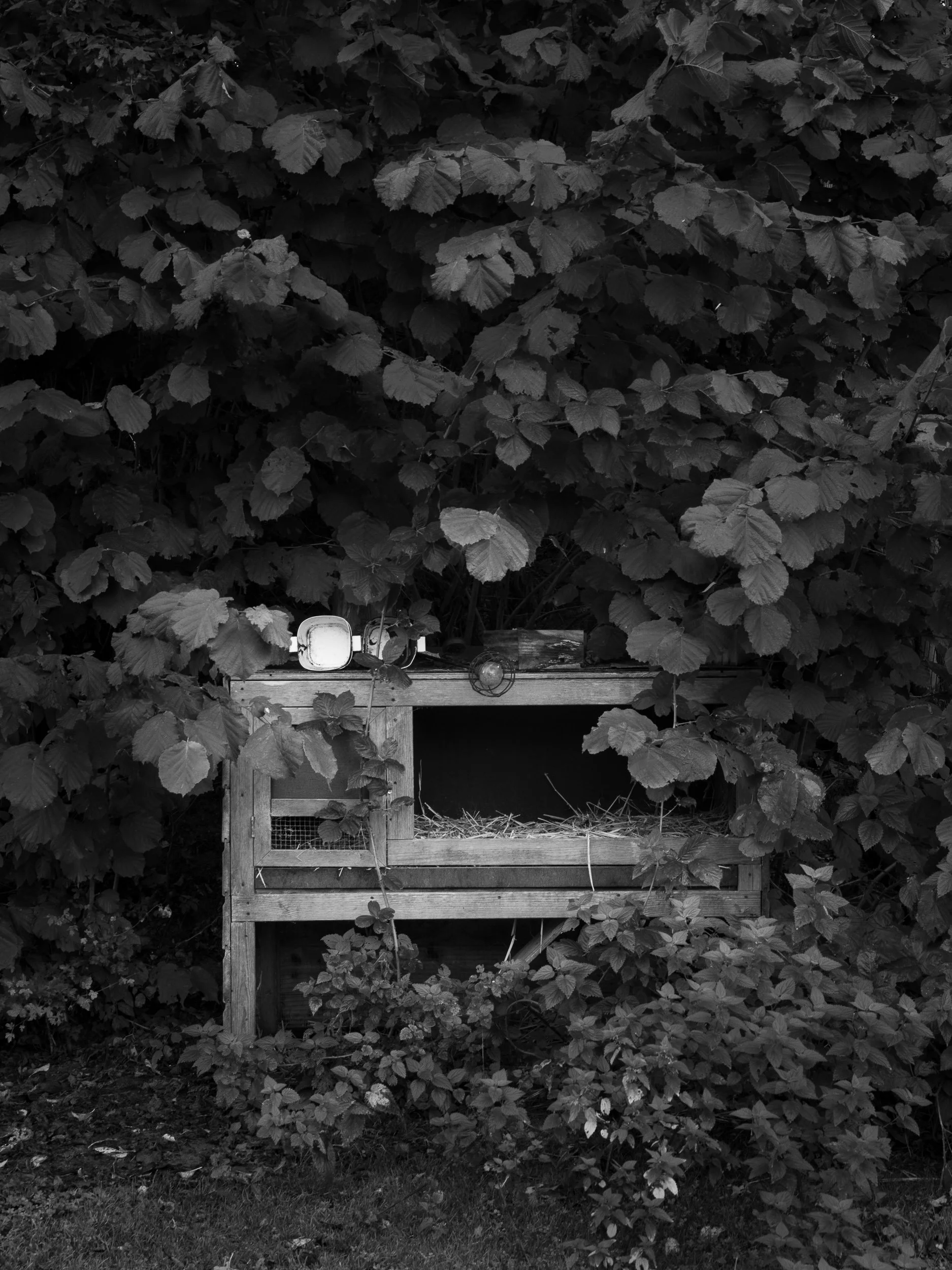 Photographing What We Do Not See