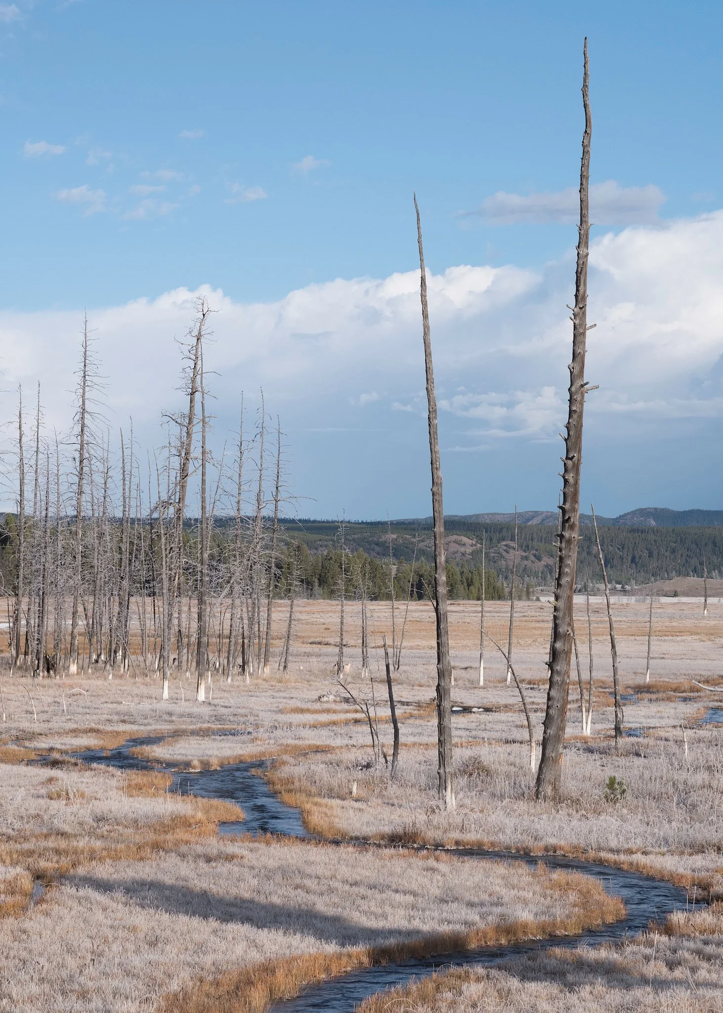 Yosemite 2015-259-20171004_Yellowstone_0037-IridientEdit.jpg