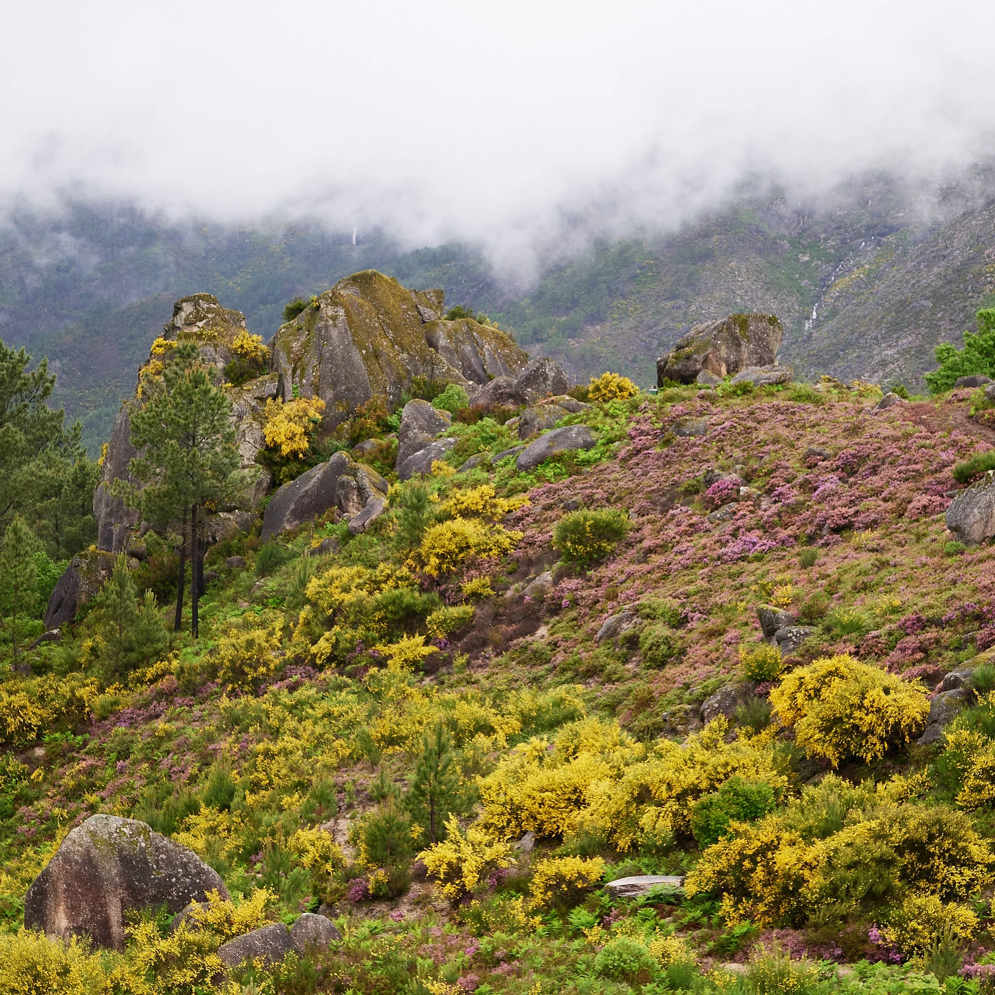 _1011867 Peneda-Geres.jpg