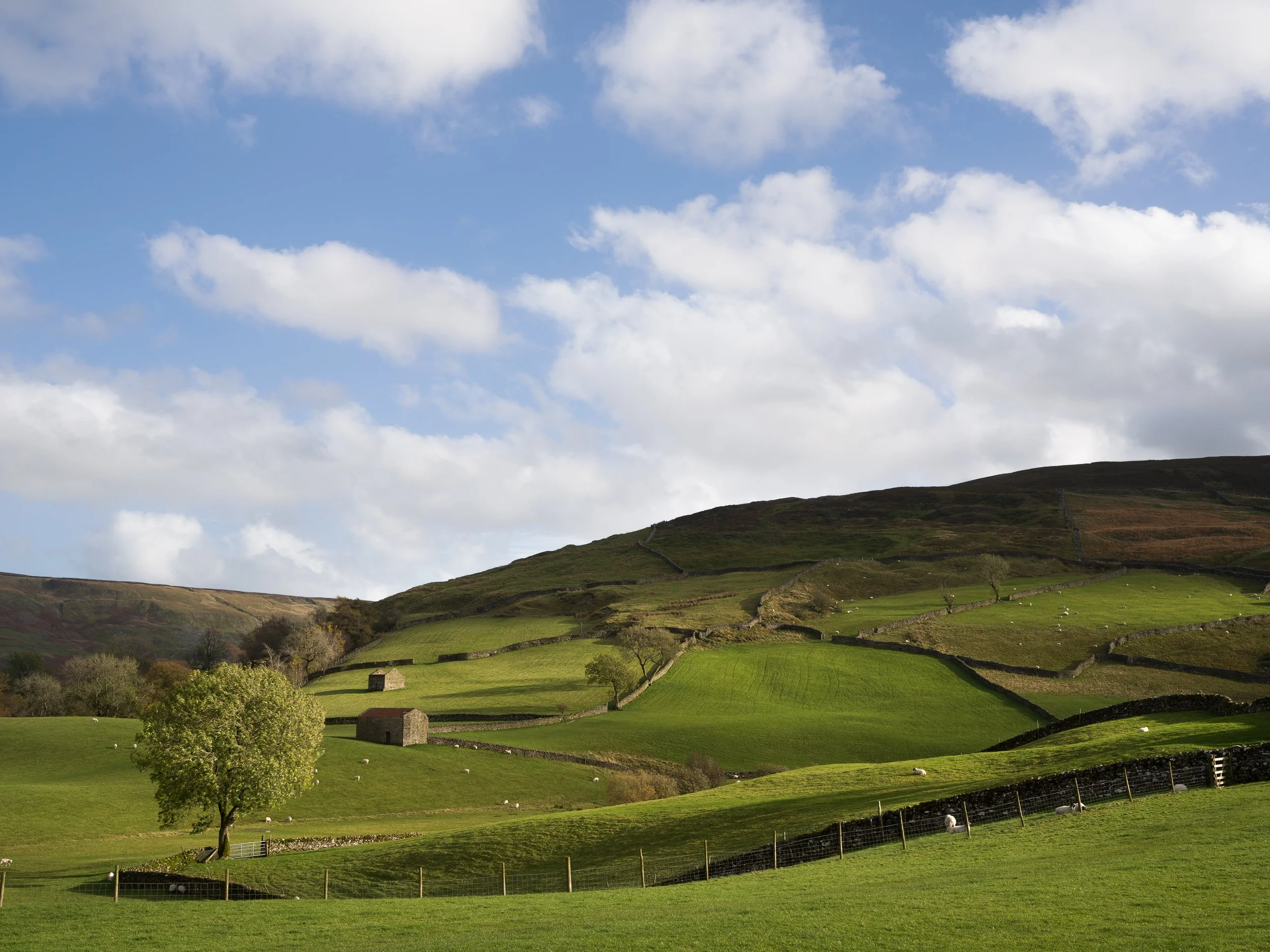 20241020-161606-HasselbladX2D 100C_Blog.jpg