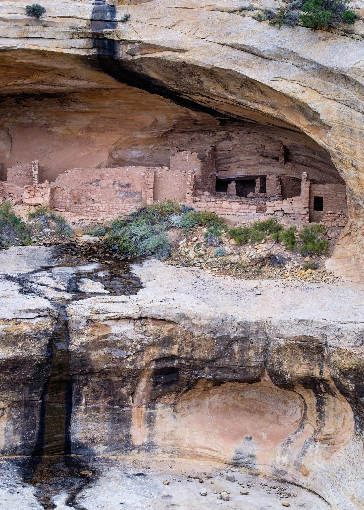 Utah 2015-191-20151023_Utah_2015_0065.jpg