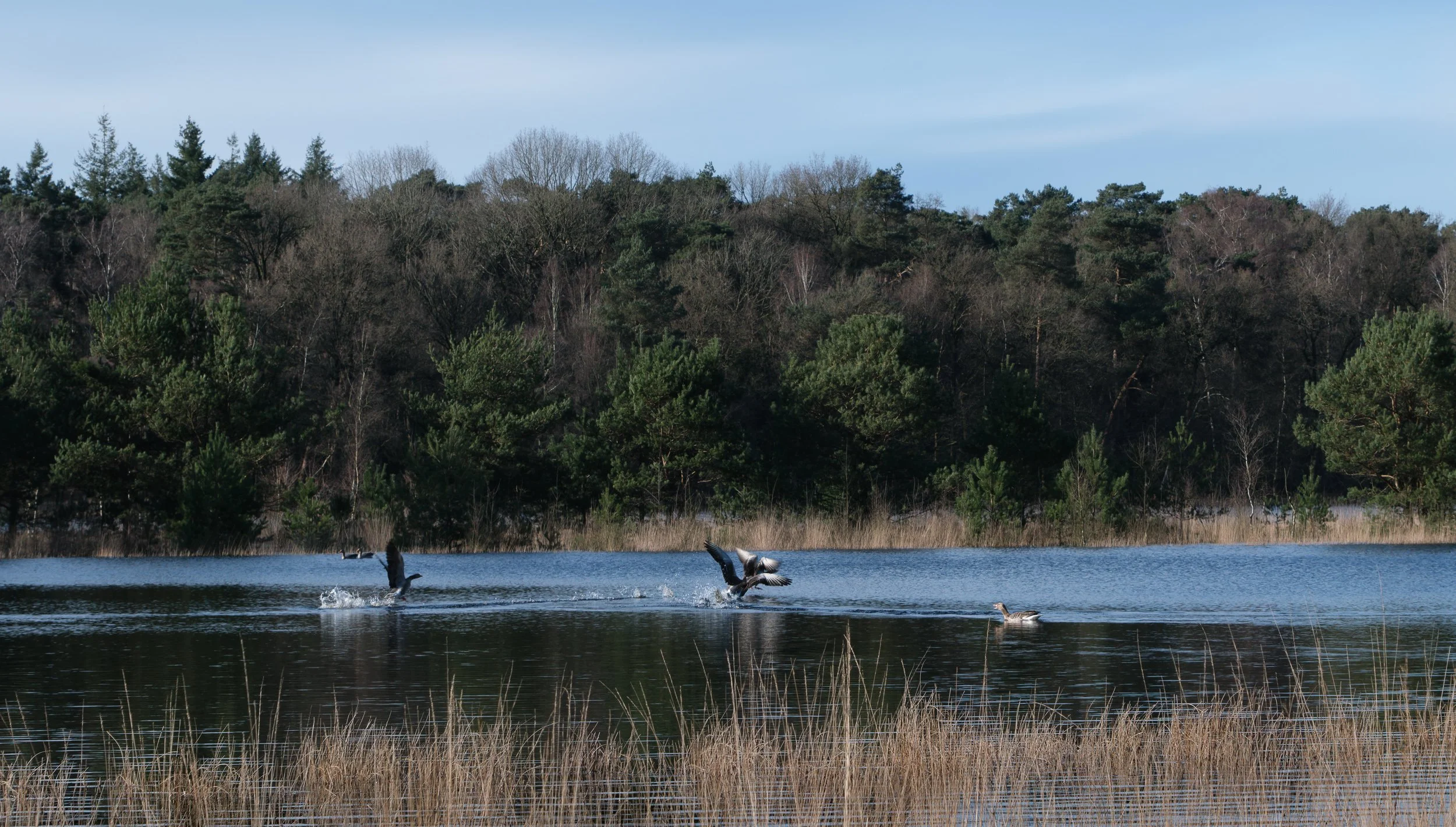 March, Leersumse Plassen, Utrecht NL