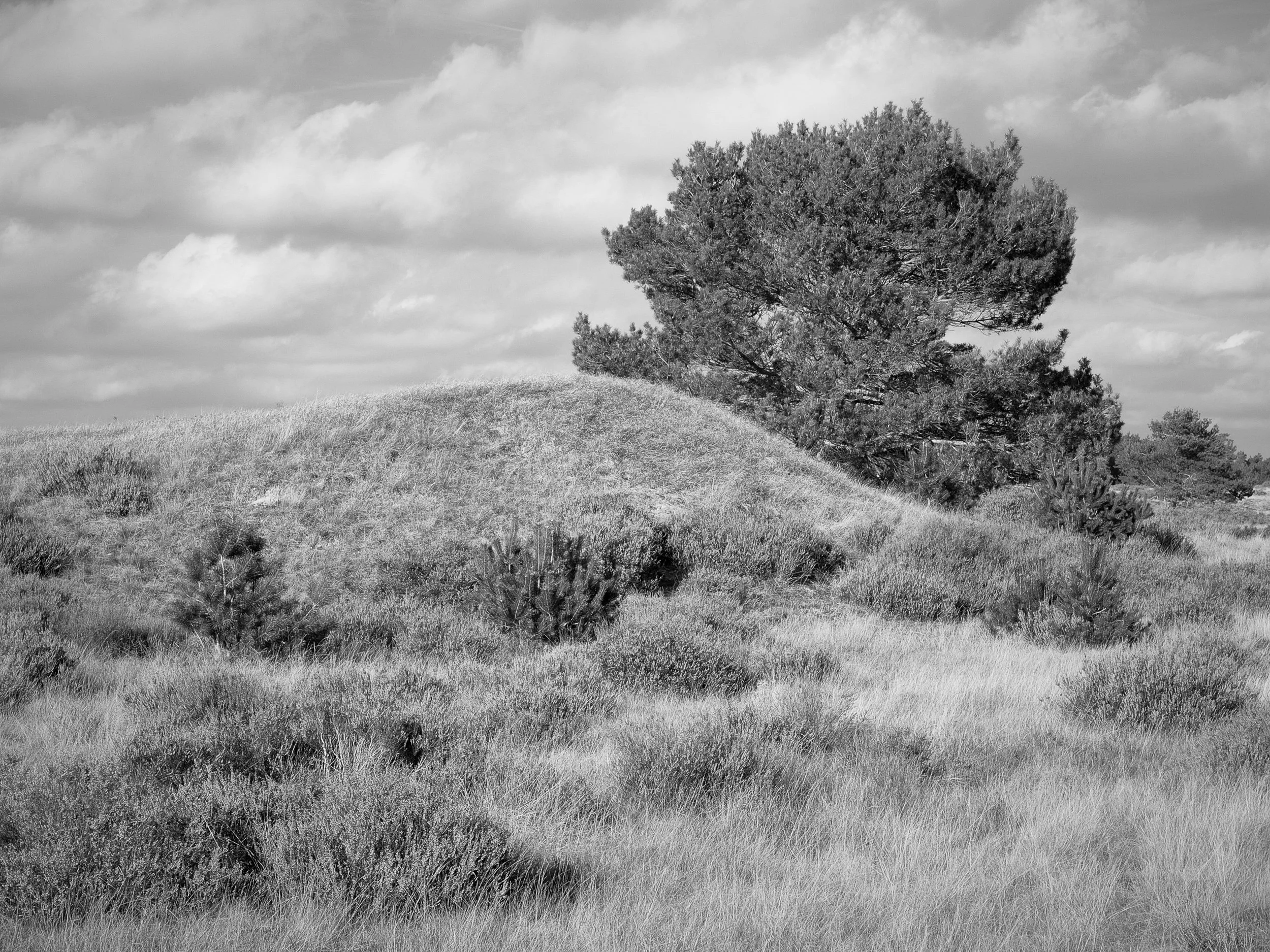20221026-133853-LeicaLEICA Q2 MONO-Masters_Blog.jpg