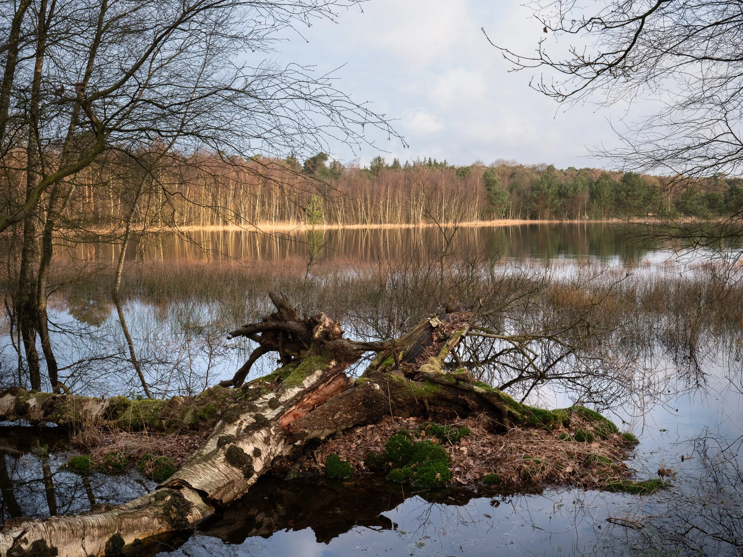 March, Leersumse Plassen, Utrecht, NL