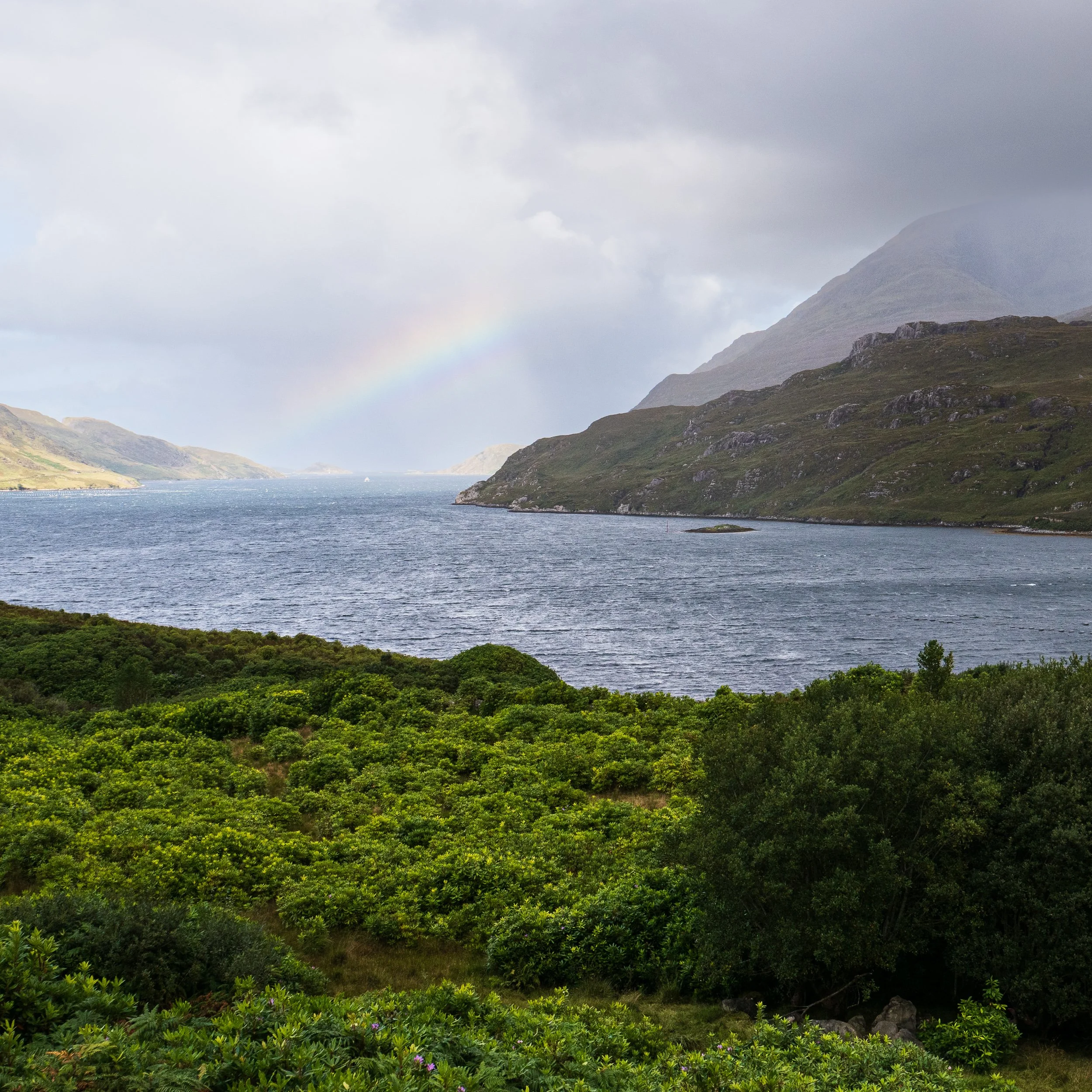 20240911-121803-LeicaLEICA D-Lux 8_Blog.jpg