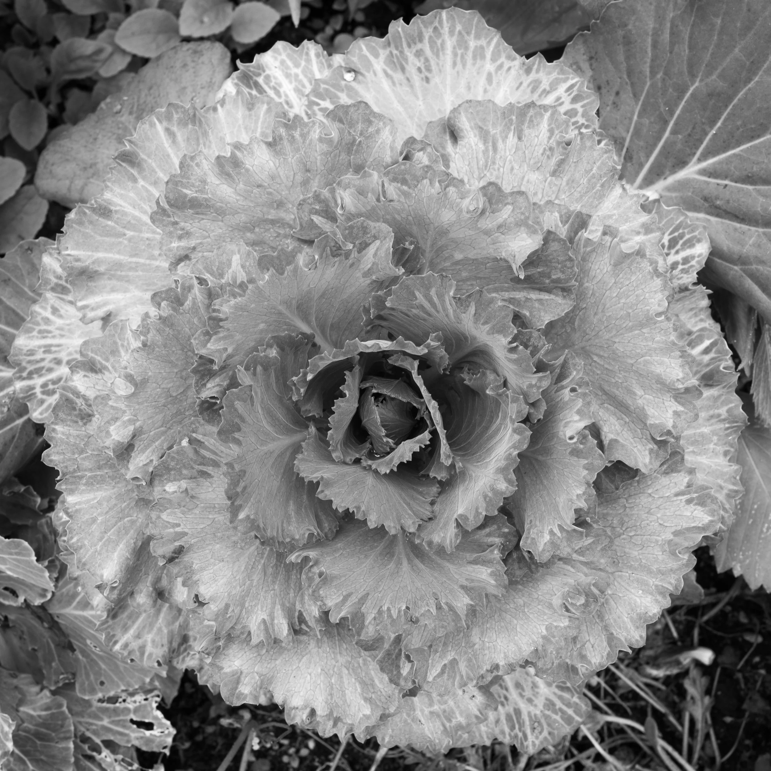 20250808-120143-LeicaLEICA Q2 MONO-L1001044_Blog.jpg