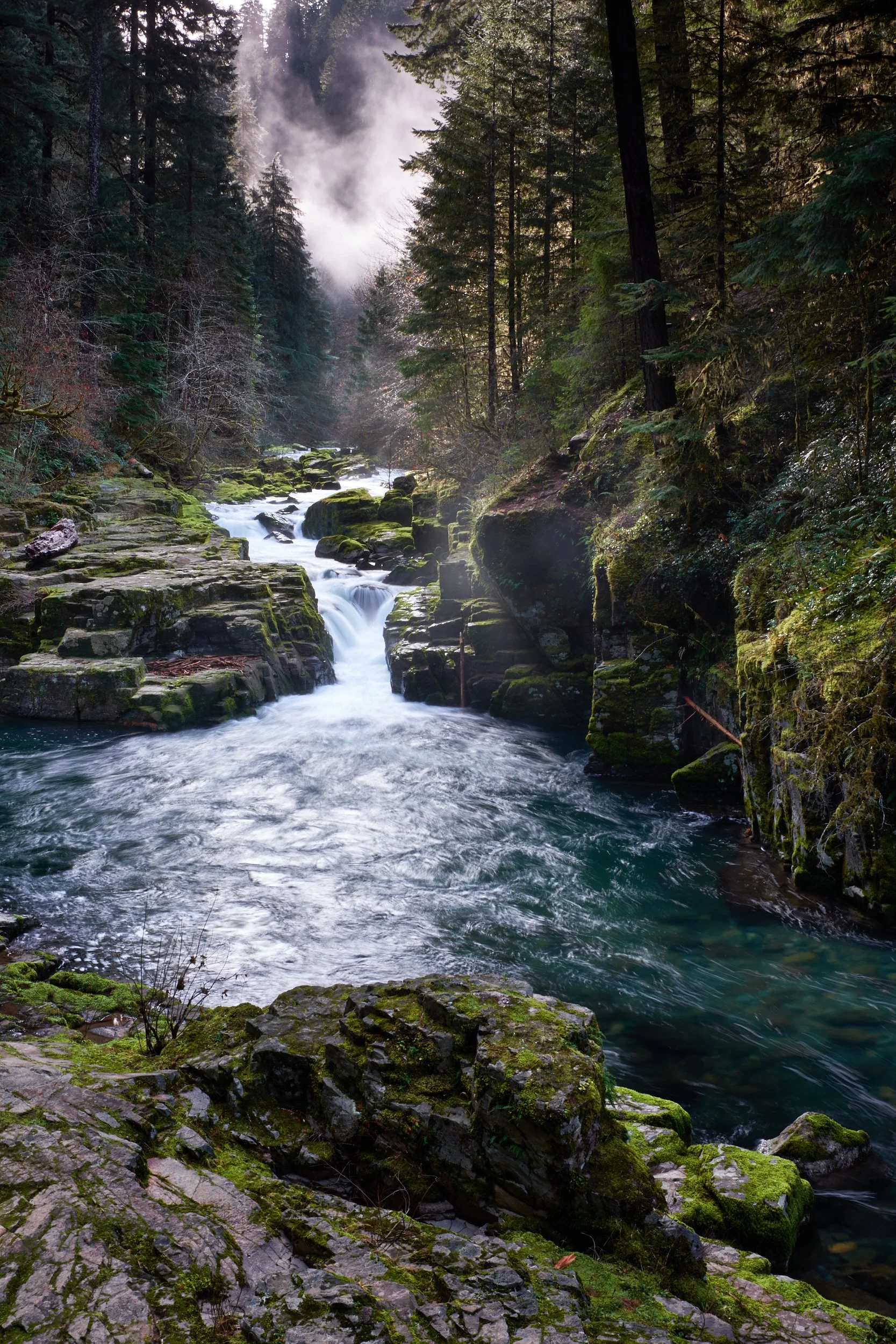 2014-12-14_10-15-46_BriceCreek.jpg