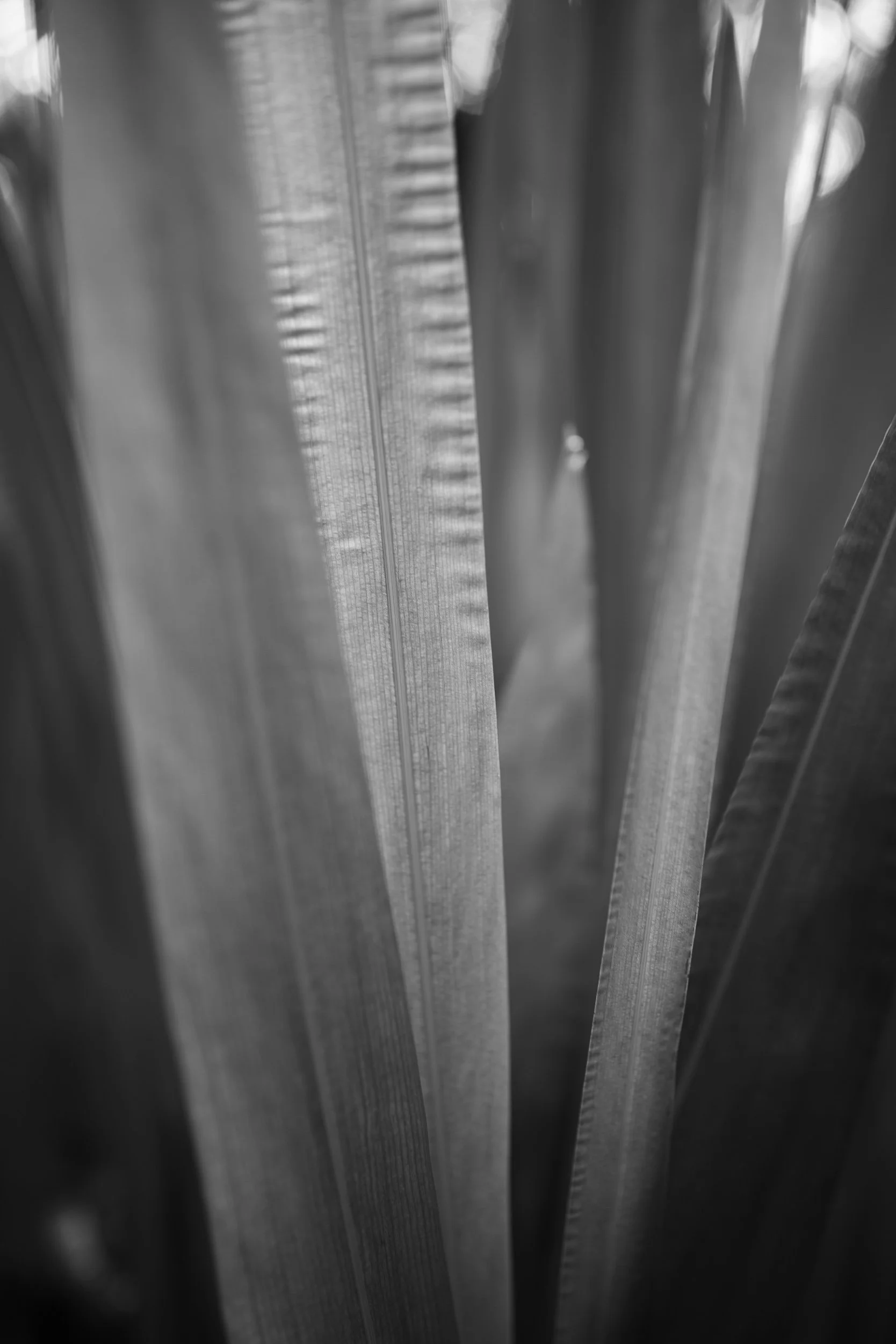 20221029-111246-LeicaLEICA Q2 MONO-Masters_Blog.jpg