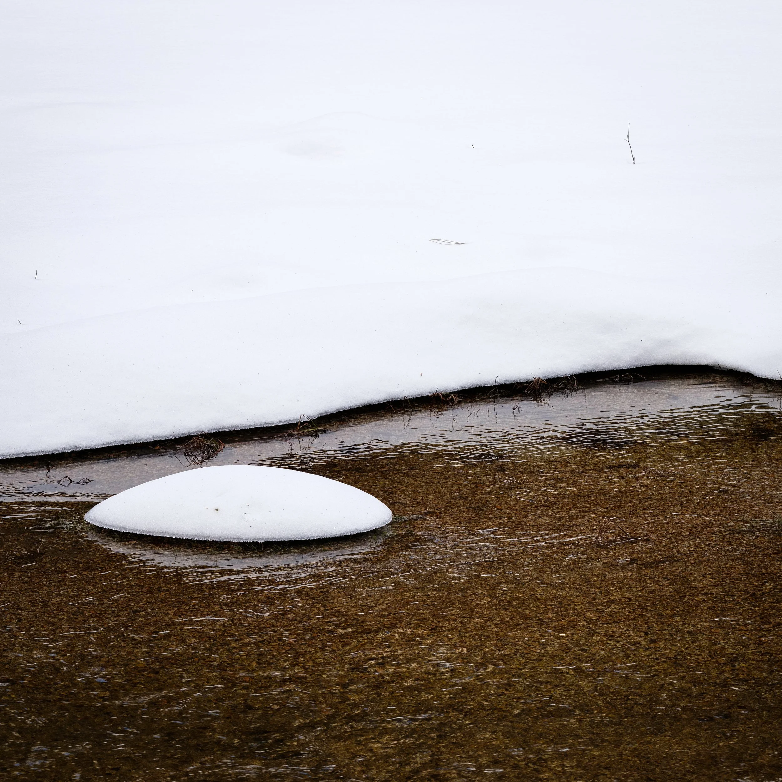 04-Merced River2018 - -30-20180309_Yosemite_0028-IridientEdit.jpg