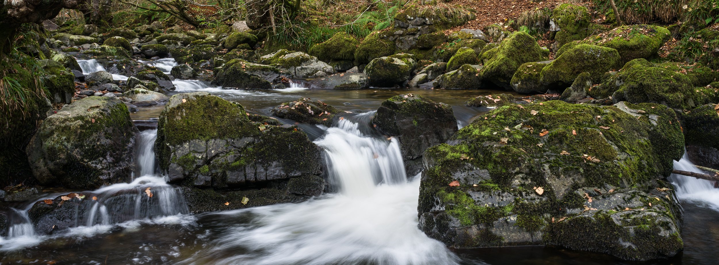 20241107-123027-HasselbladX2D 100C_Blog.jpg