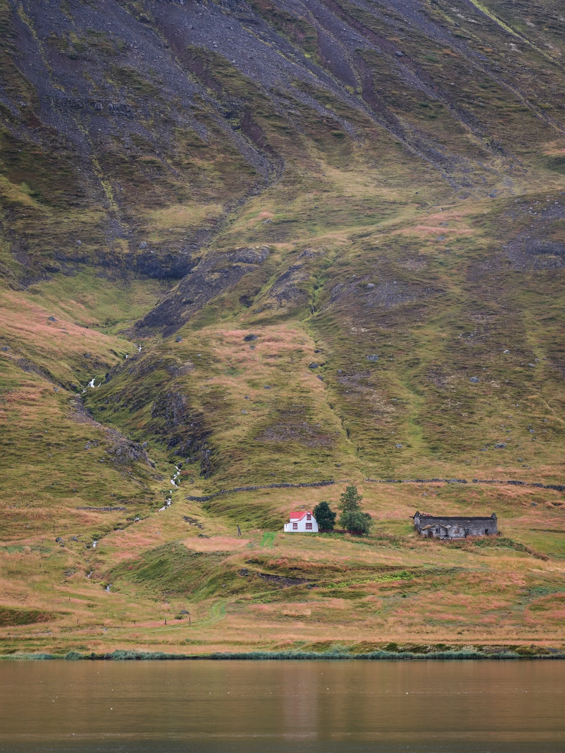 20250909-091708_X-T5.jpg