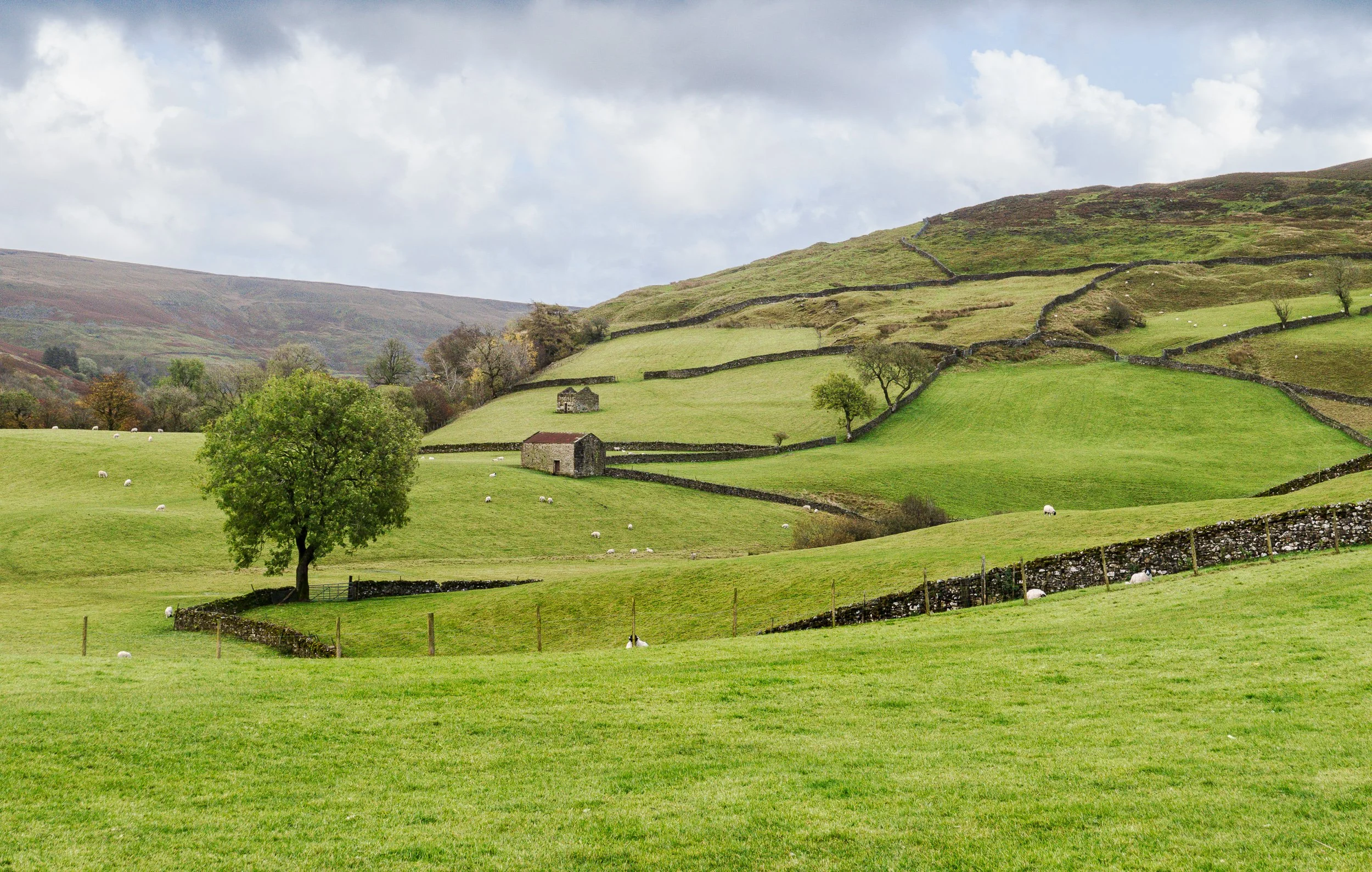 October, Yorkshire Dales, England