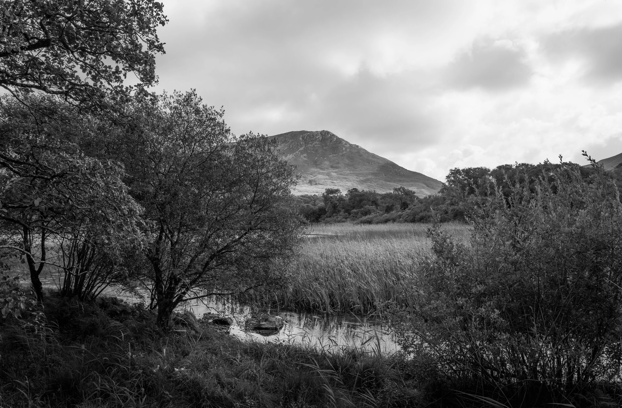 20240911-163617-LeicaLEICA Q2 MONO_Blog.jpg