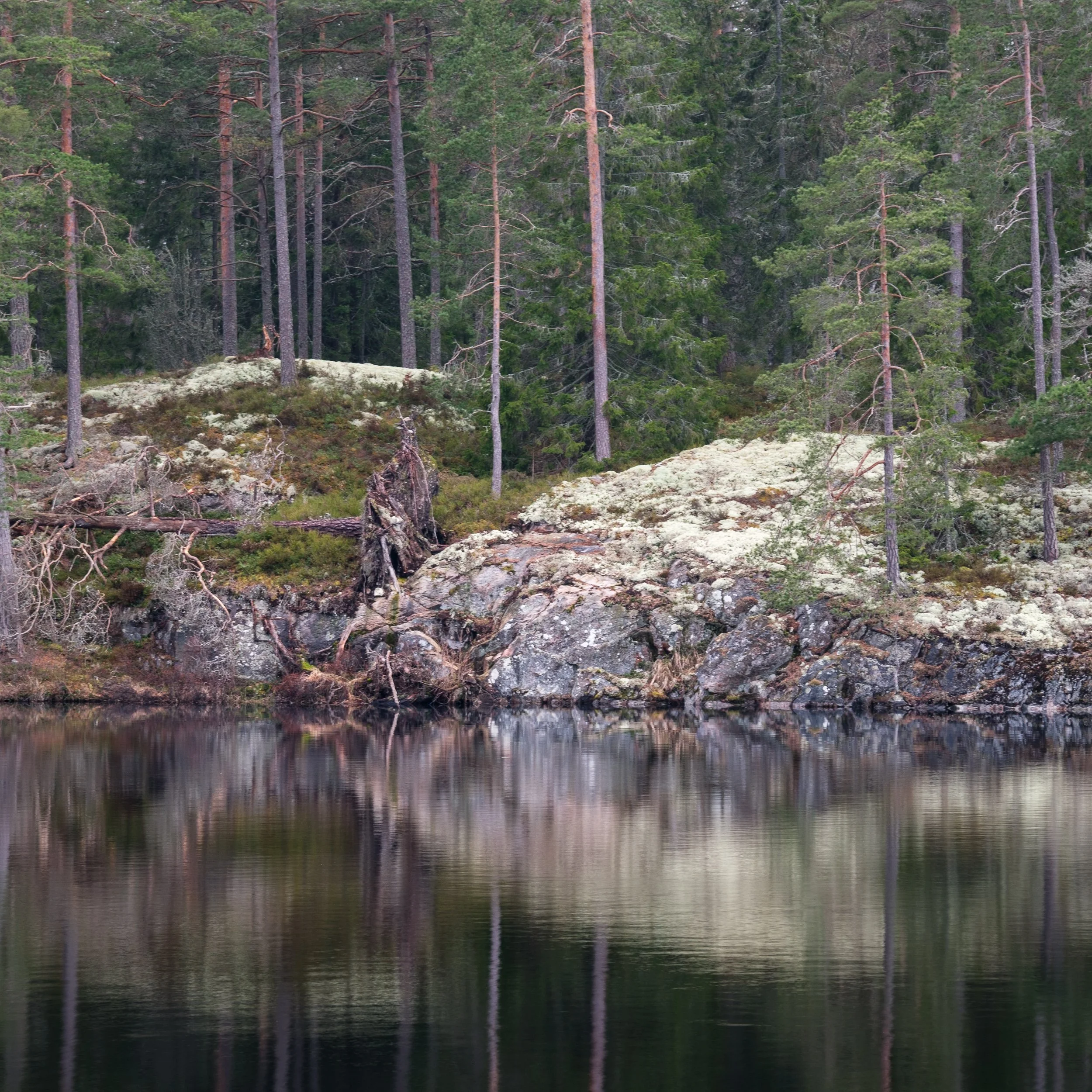 April, Tiveden NP, Sweden