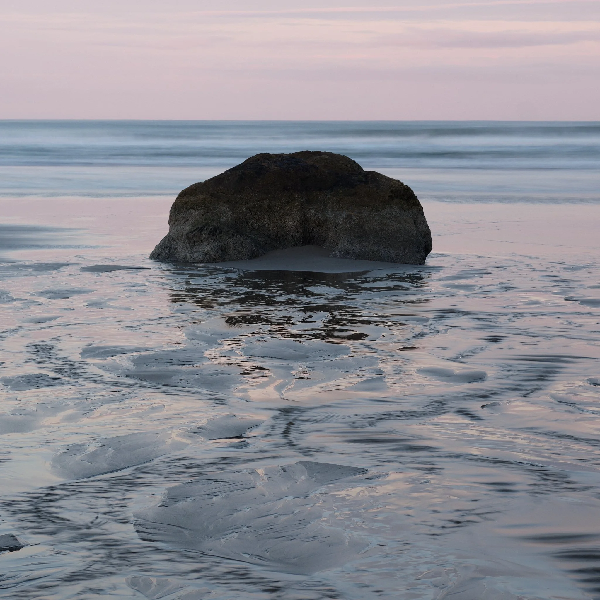 _DSF7032Redwoods Trip.jpg
