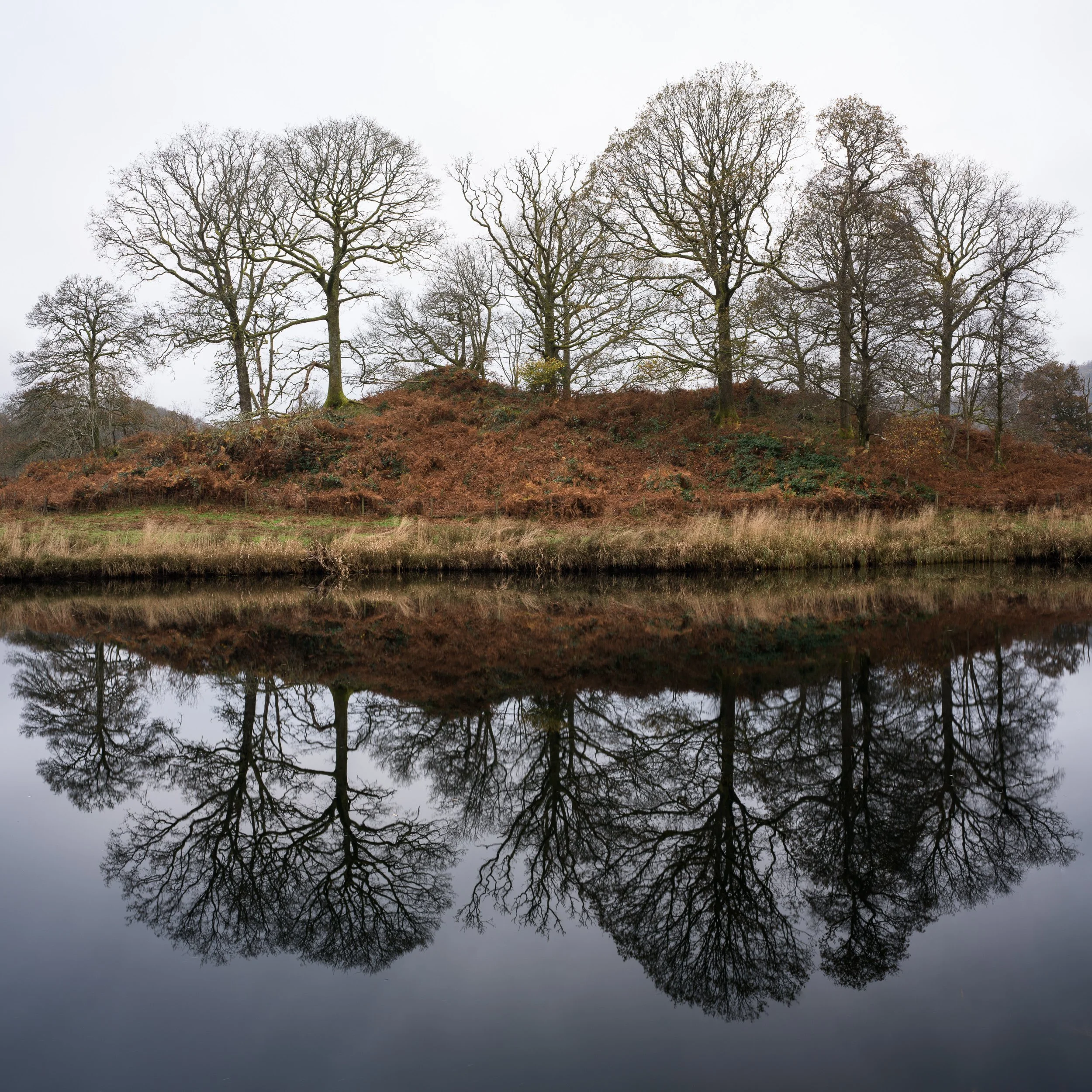 20241105-150836-HasselbladX2D 100C_Blog.jpg