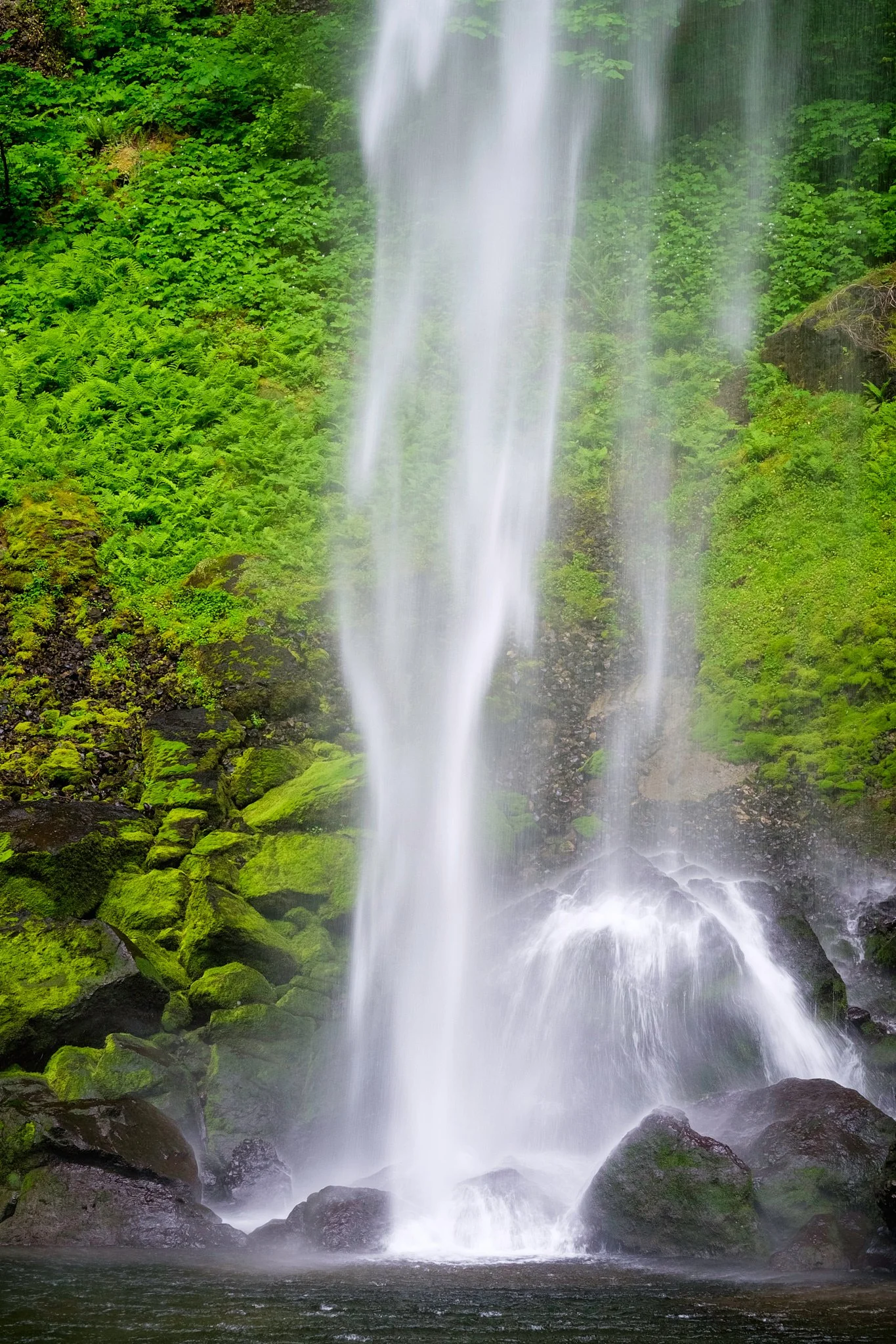 2015 - -255-20150524_Columbia_Gorge_0176.jpg
