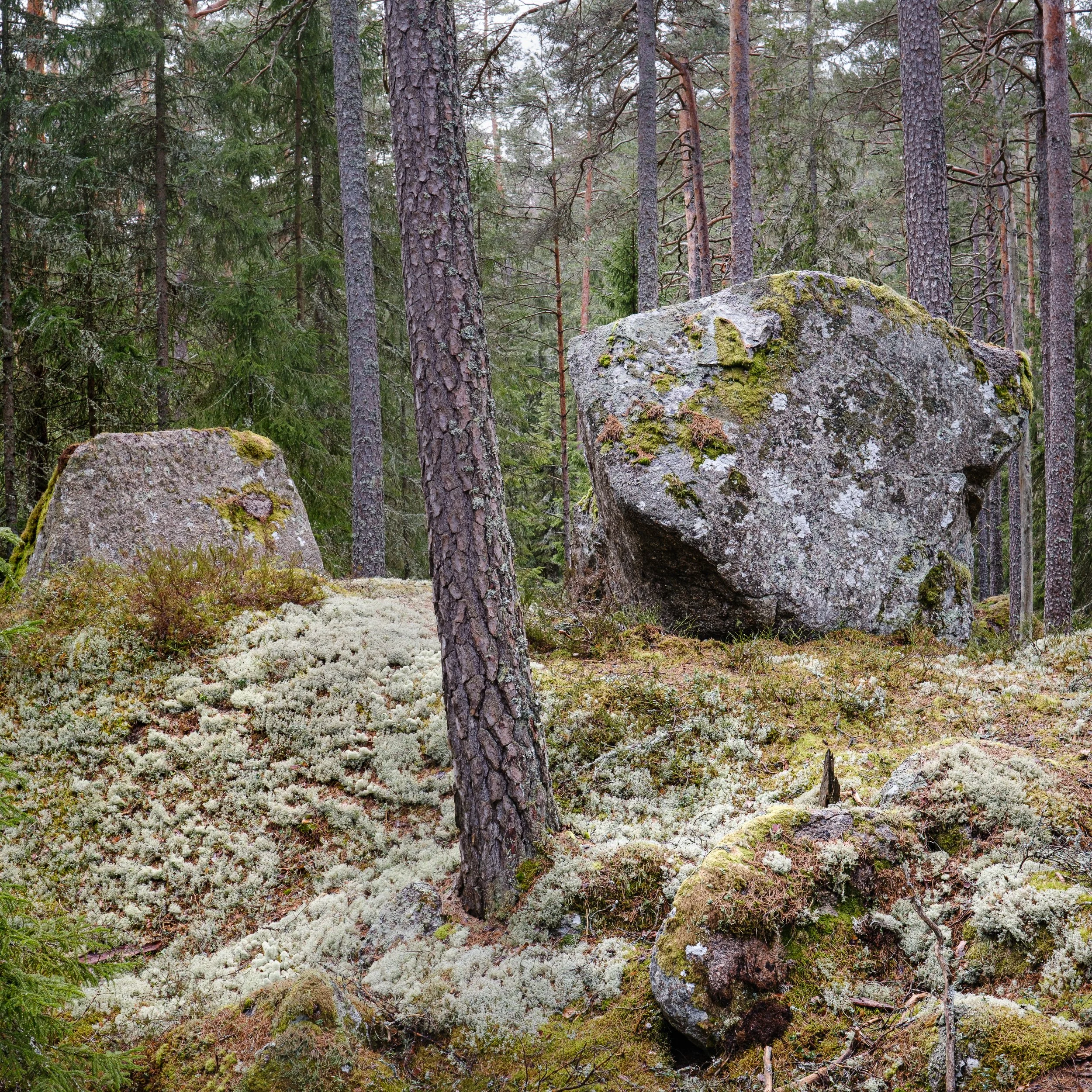 April, Tiveden NP, Sweden
