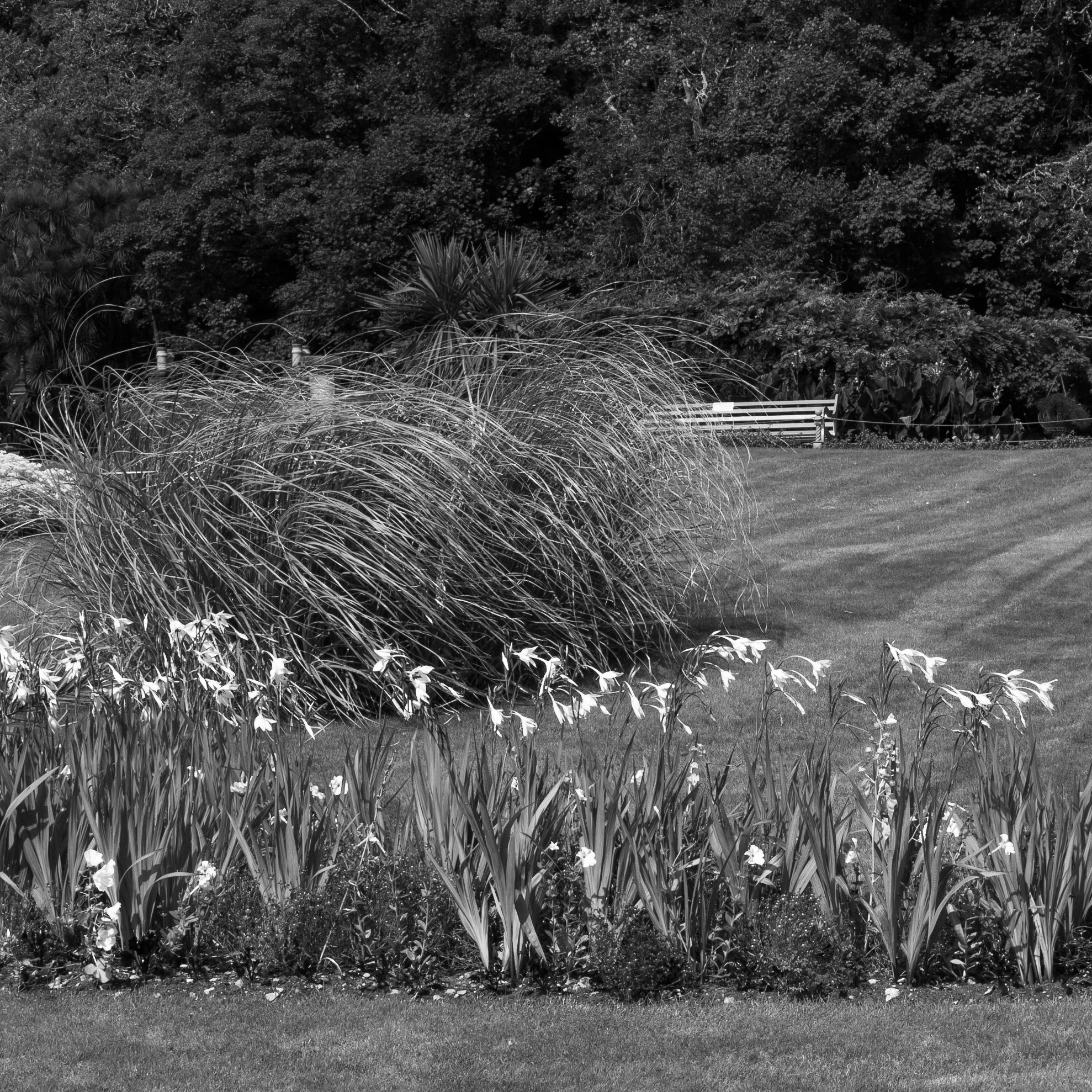 20240911-153828-LeicaLEICA Q2 MONO_Blog.jpg