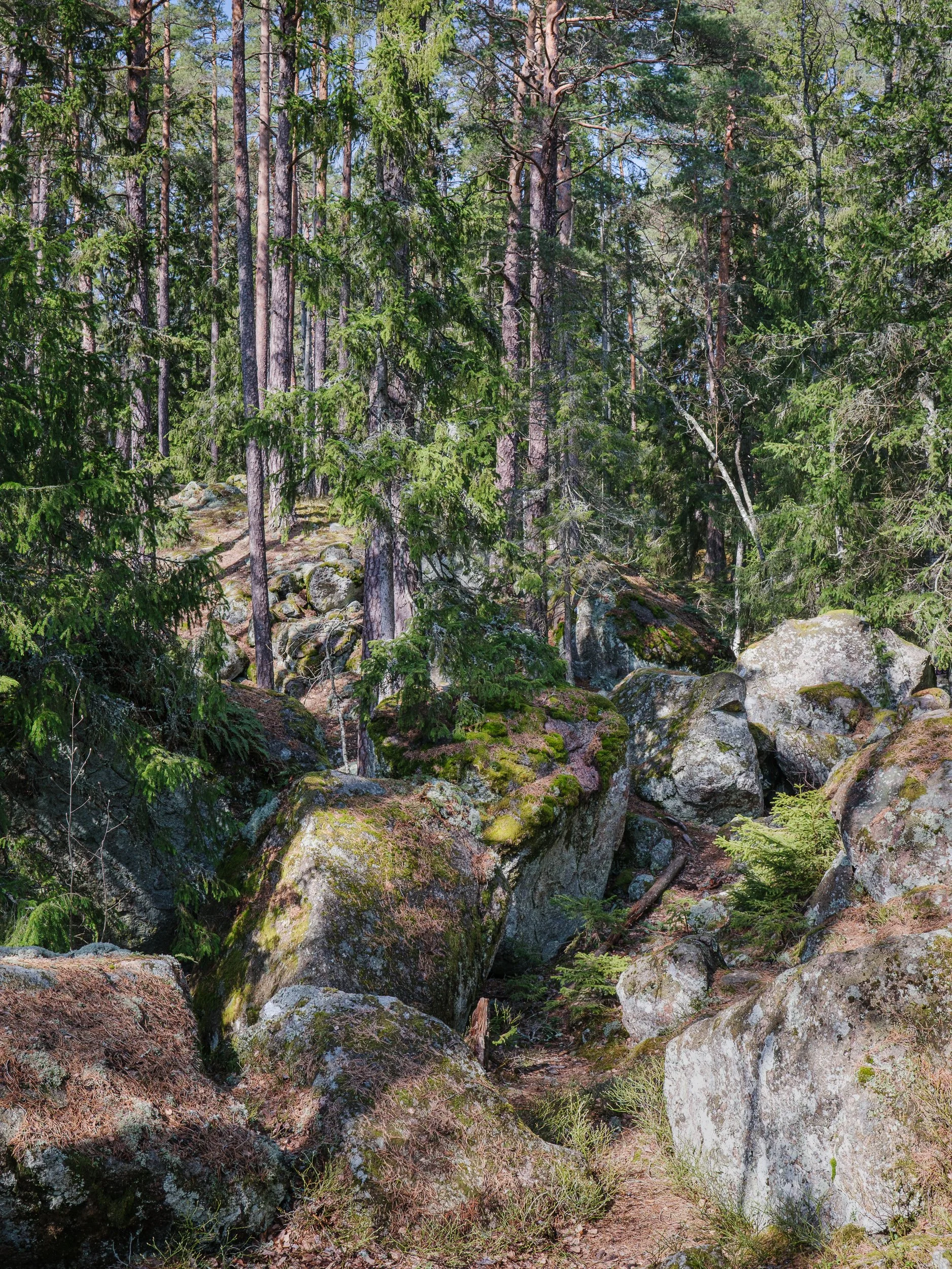 April, Tiveden NP, Sweden