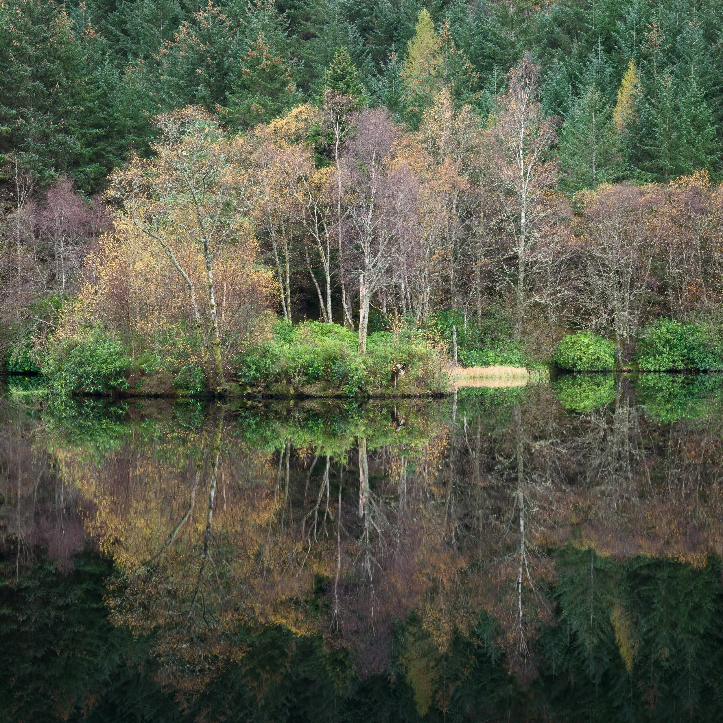 20241101-103117-HasselbladX2D 100C_Blog.jpg