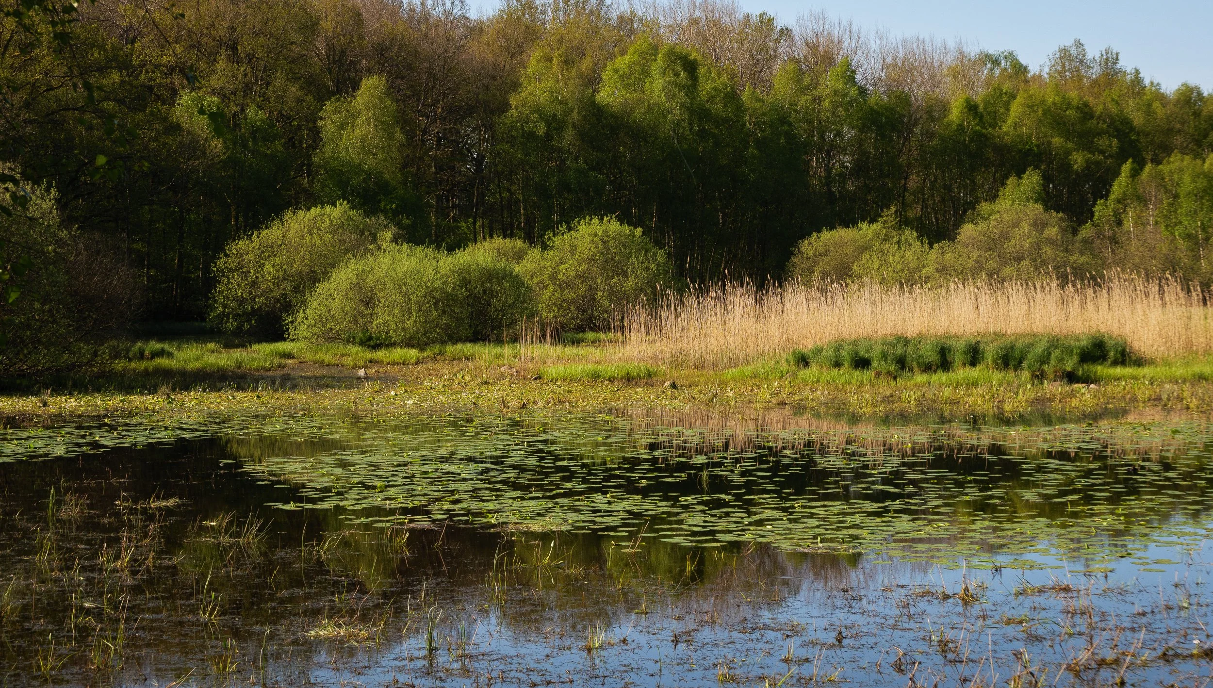 May, nature reserve, Sweden