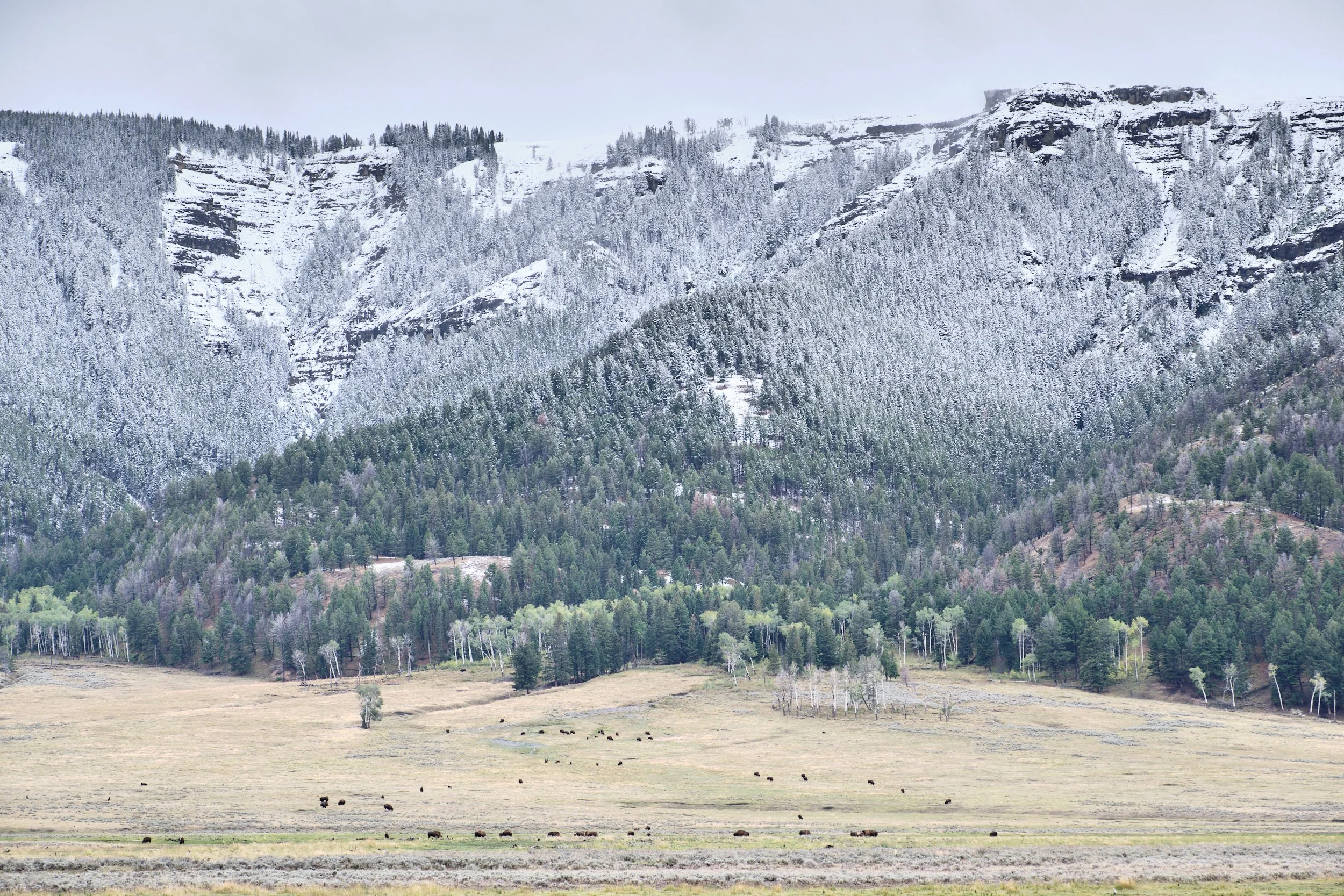 2017-09-19_15-10-08_Yellowstone.jpg