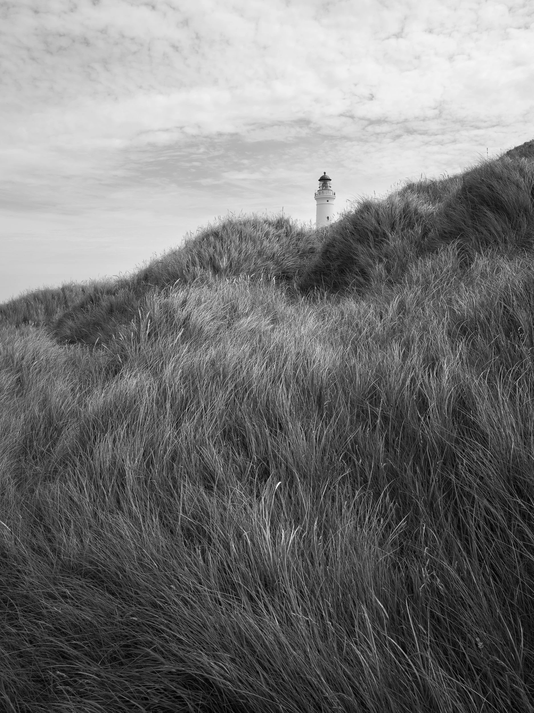 20250727-094415-LeicaLEICA Q2 MONO-L1000981_Blog.jpg