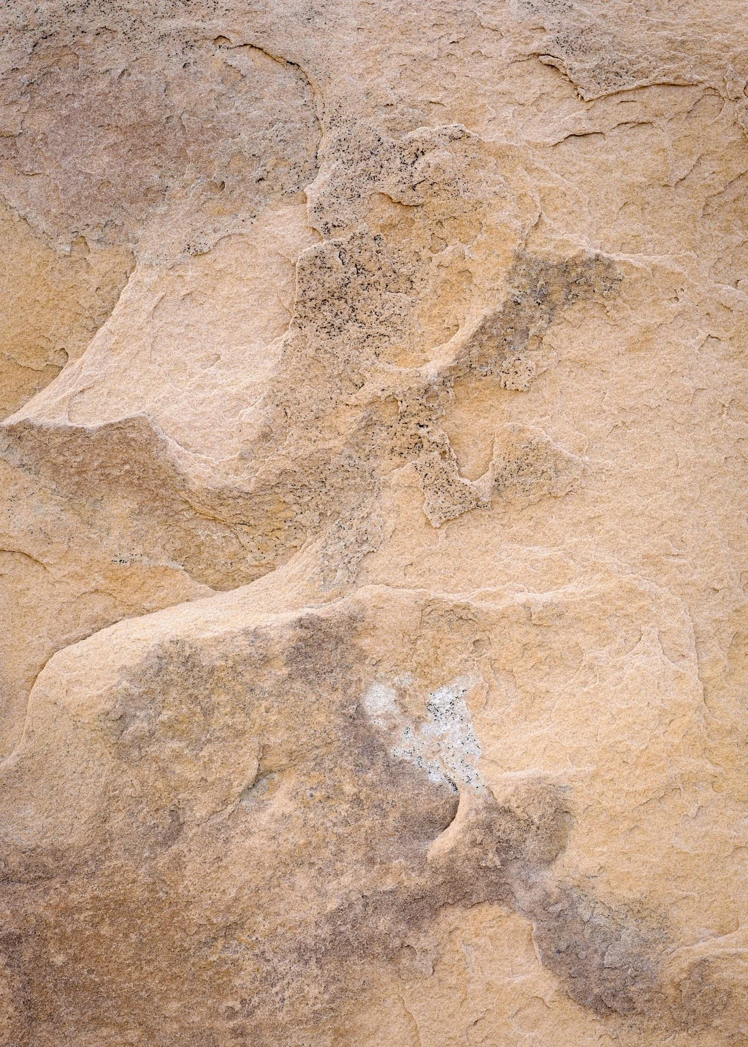 2017 - -26-20170519_2017 May Expedition_1694.jpg