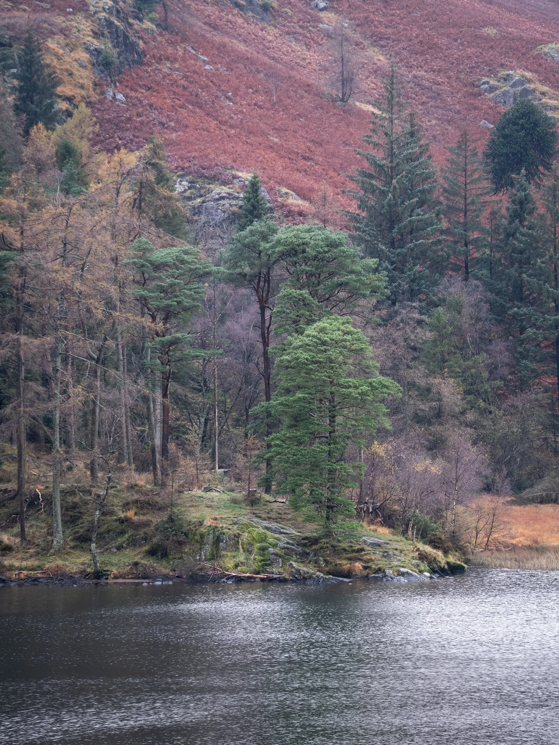 November, Lake District, England