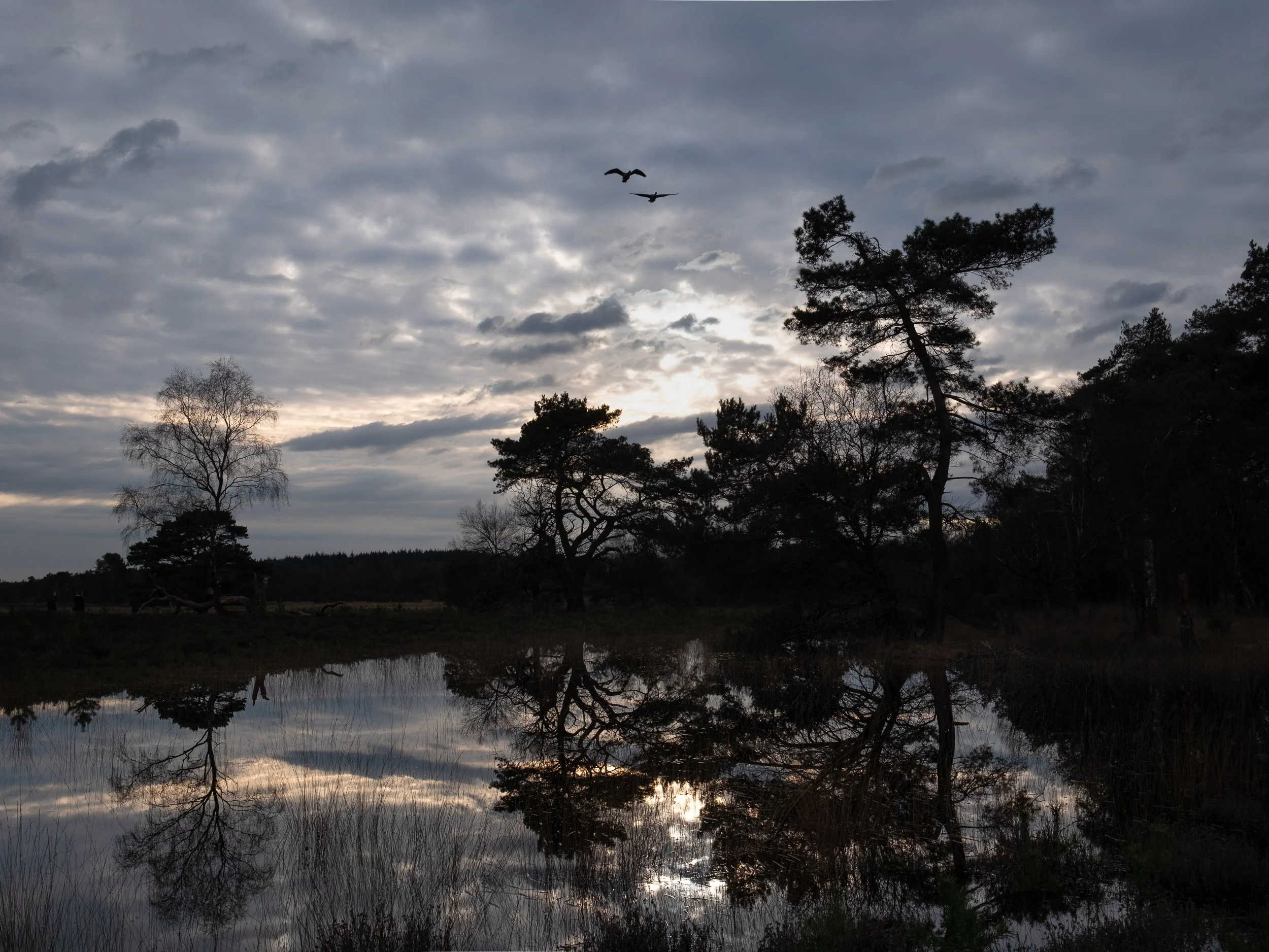 20240303-170518-FujifilmX-T5-untitled-2_Blog.jpg