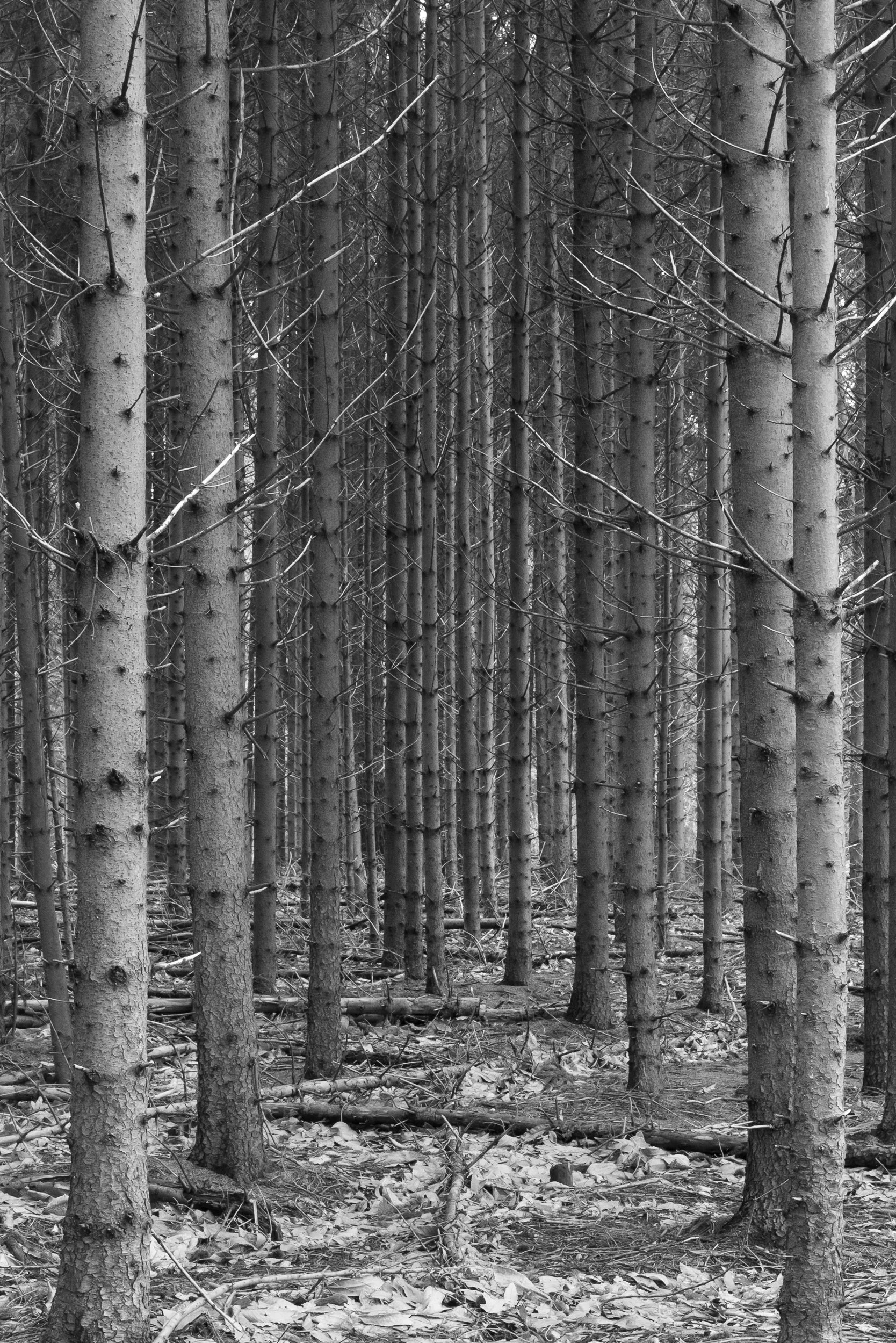 20240210-103440-LeicaLEICA Q2 MONO-untitled_Blog.jpg