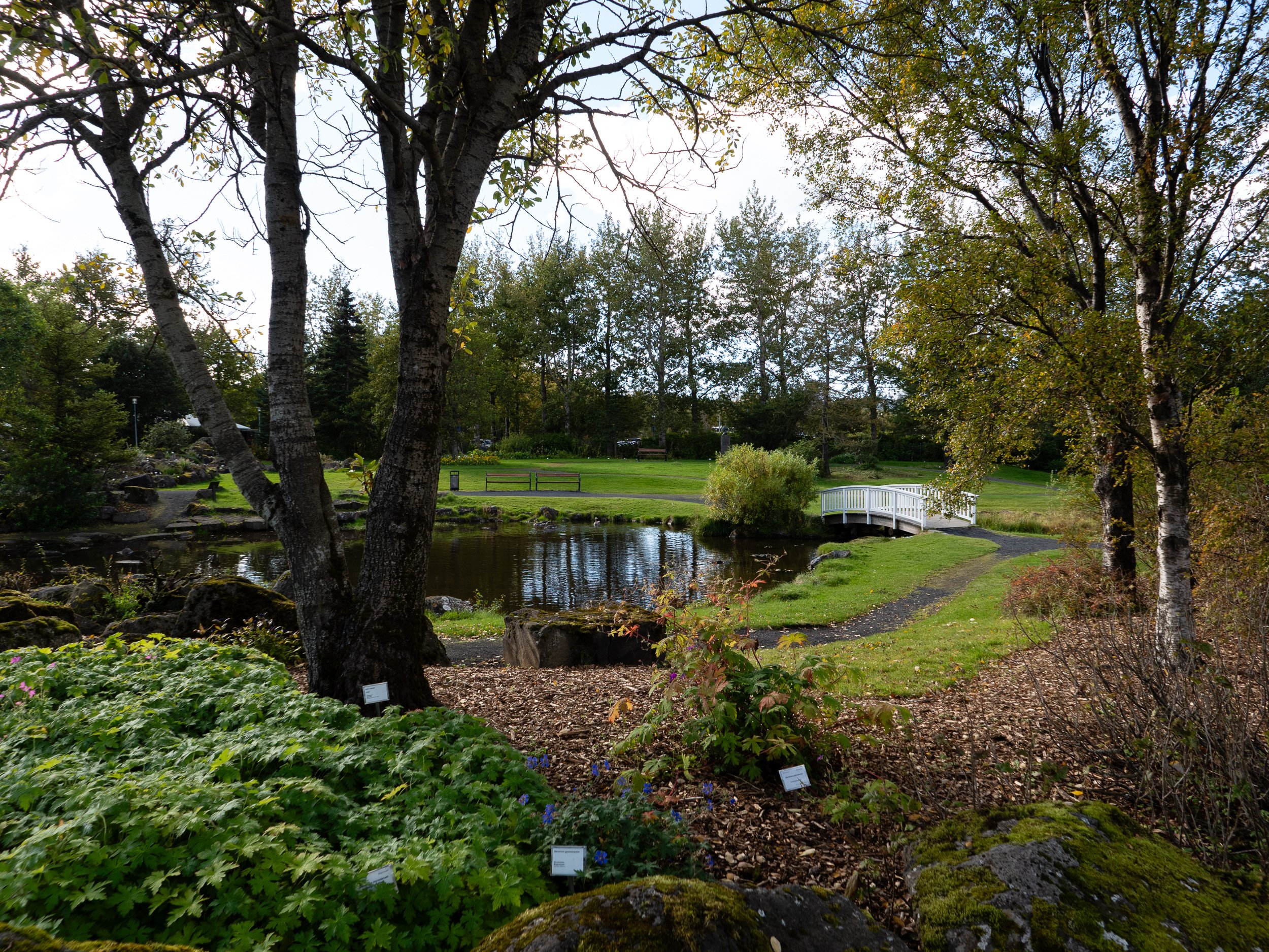 Reykjavik Botanical Garden