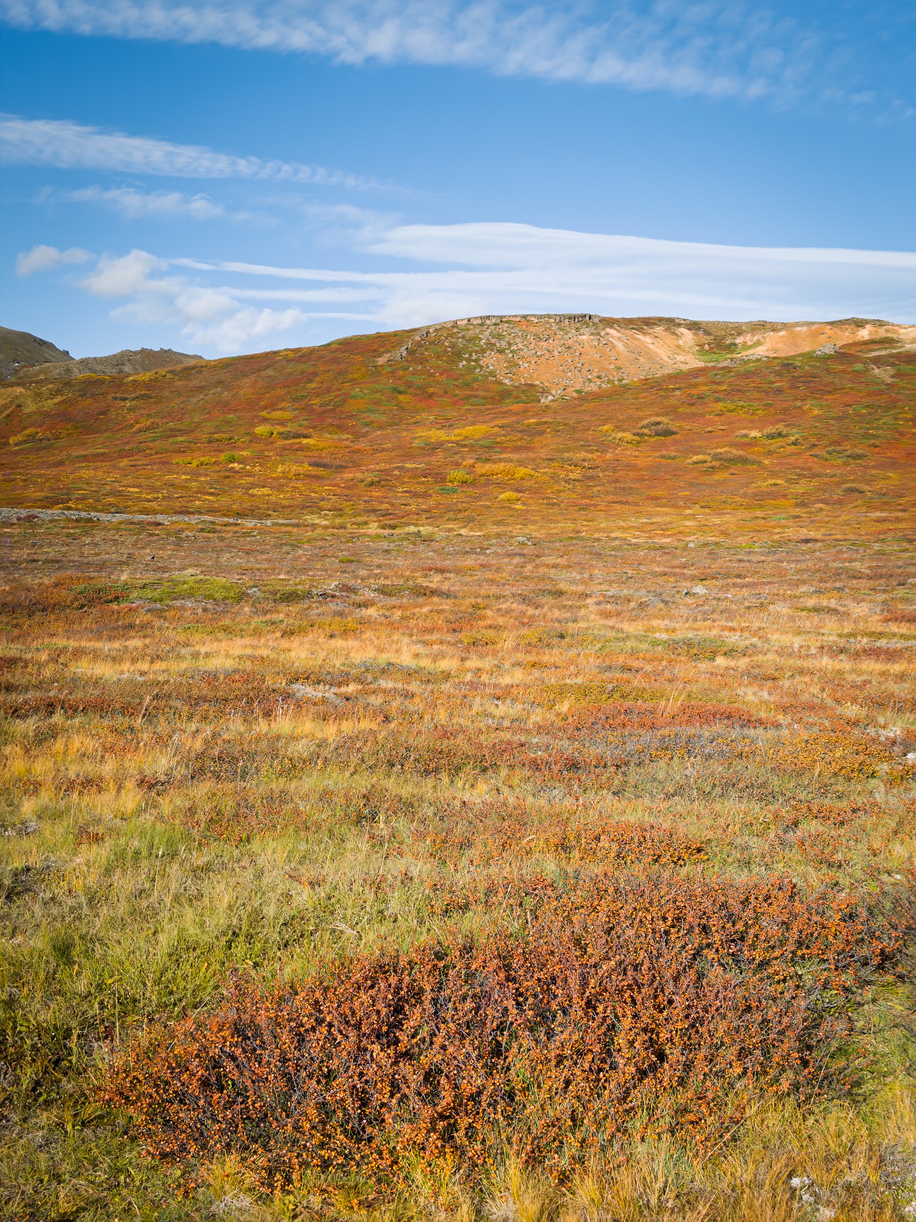 20250925-111817-AppleiPhone 16 Pro-IDG_20250925_111817_923_Blog.jpg