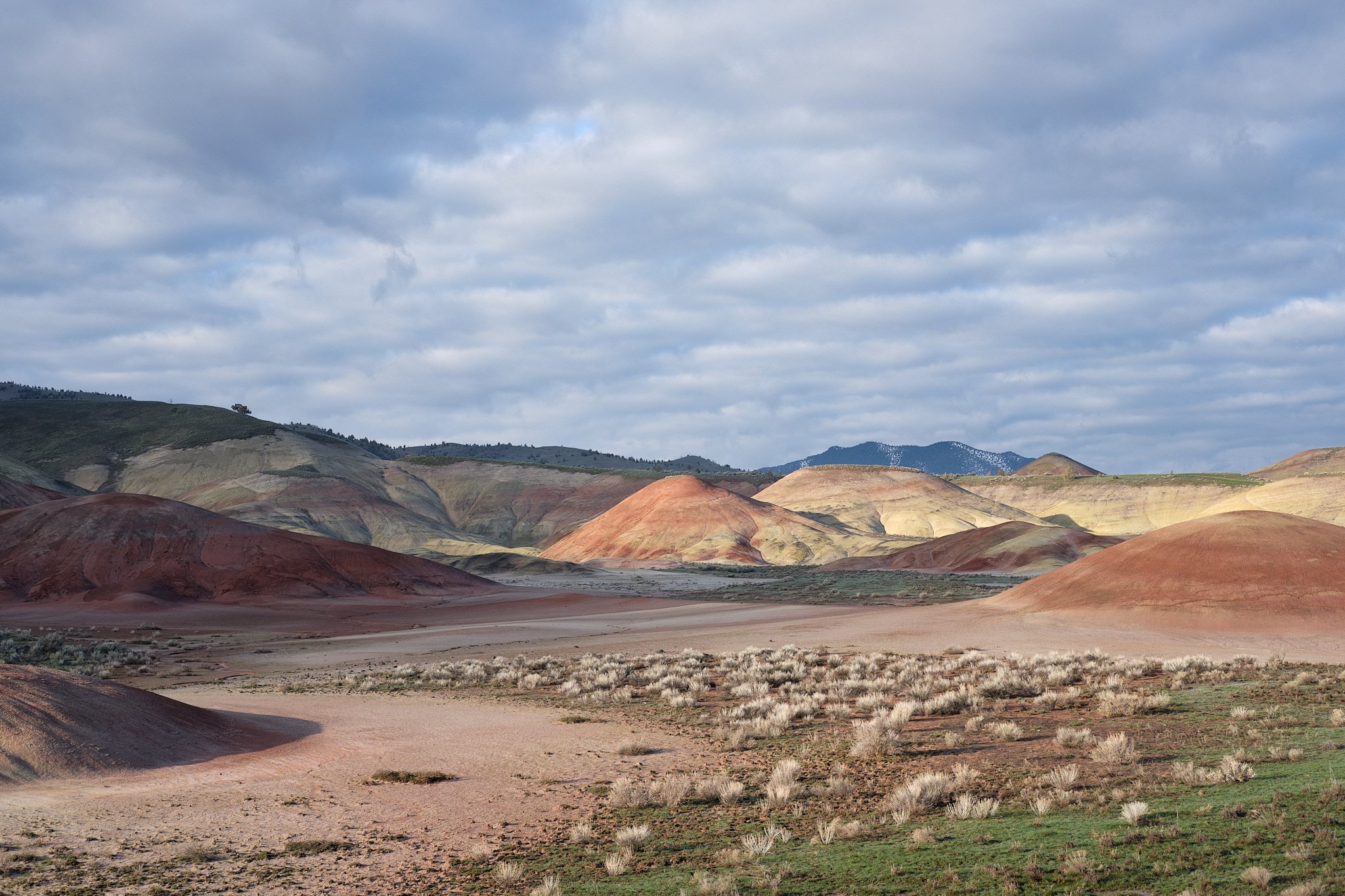20190330Painted Hills_DSF7470.jpg