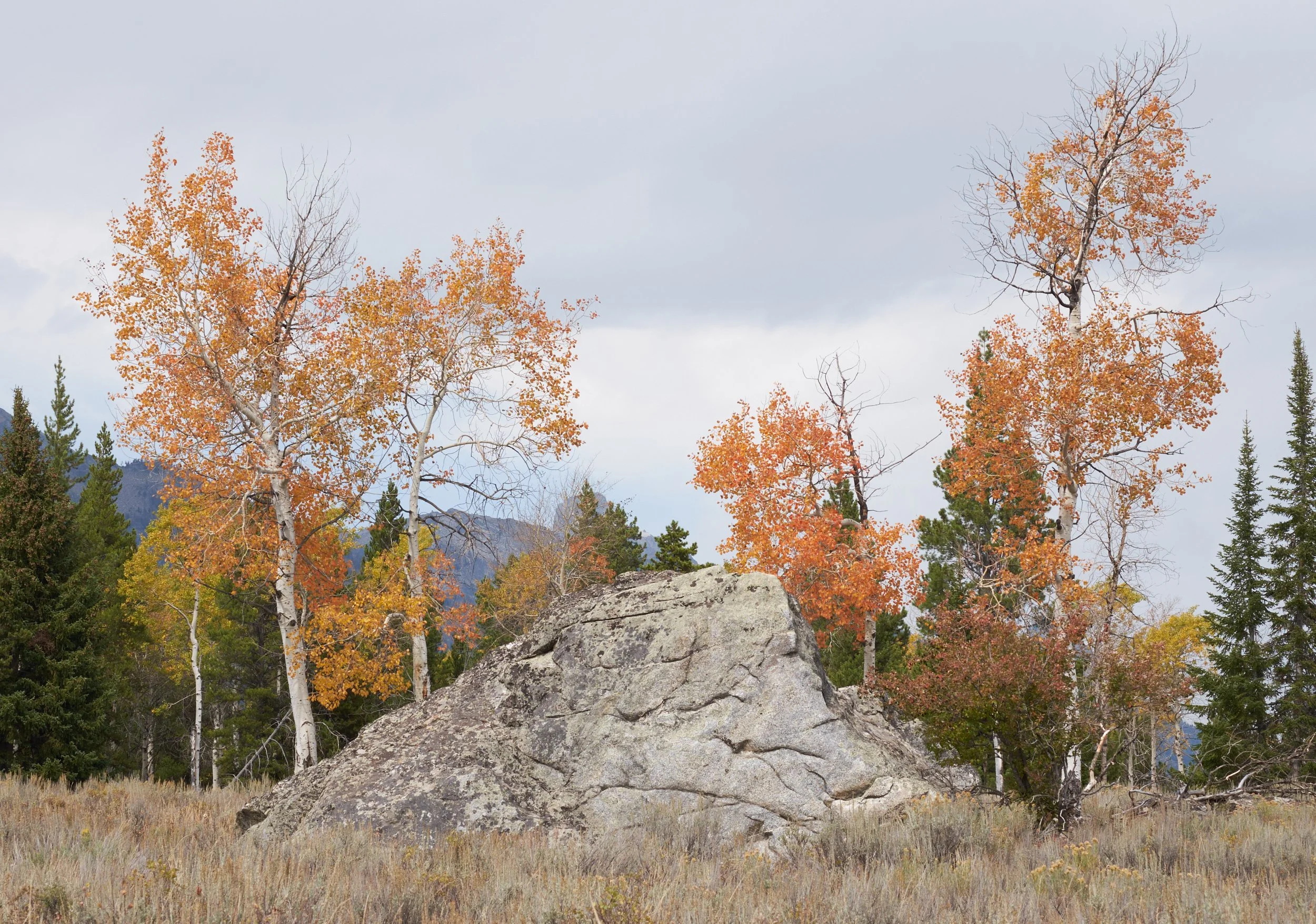 2014-09-16_14-14-56_Tetons.jpg