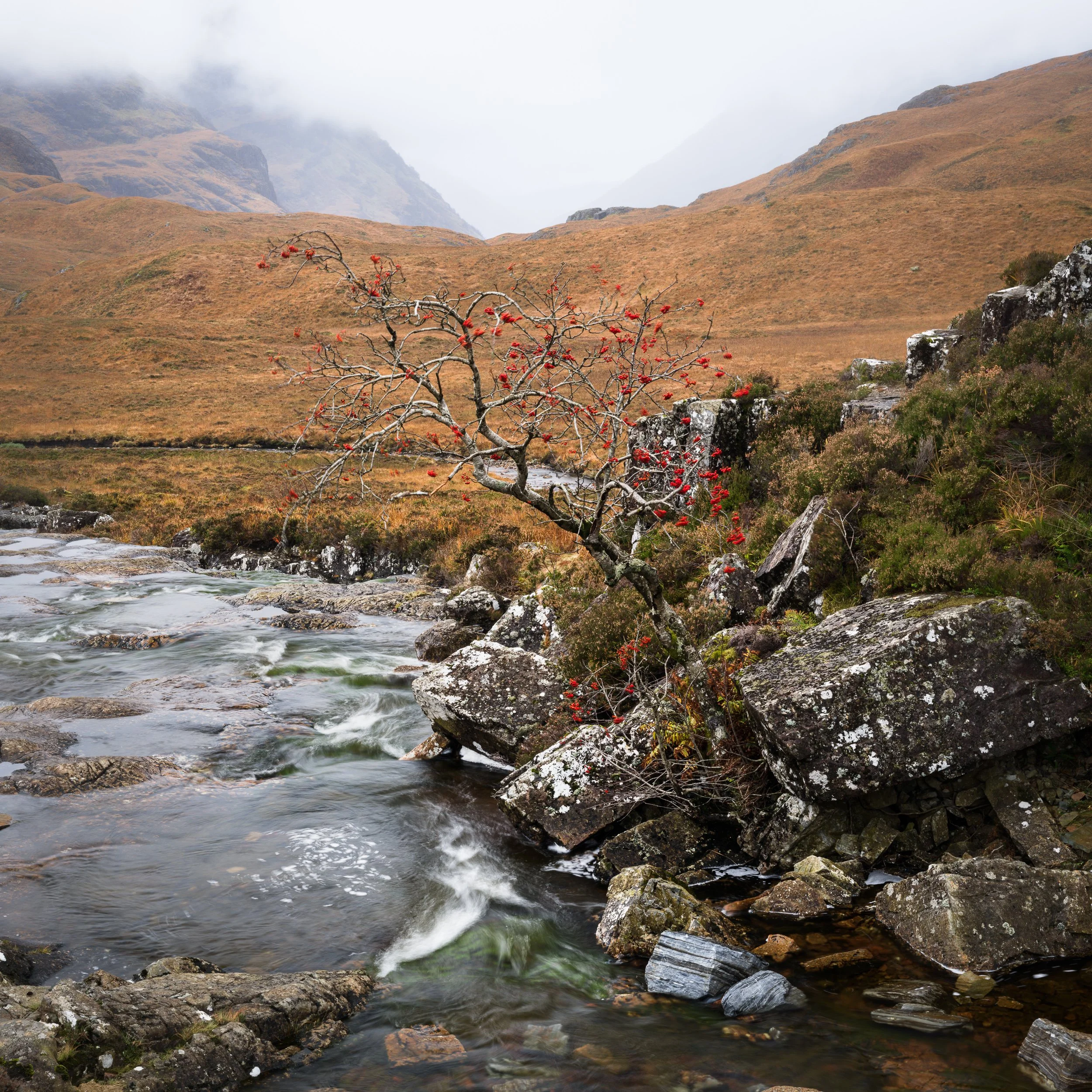 20241102-133642-HasselbladX2D 100C_Blog.jpg