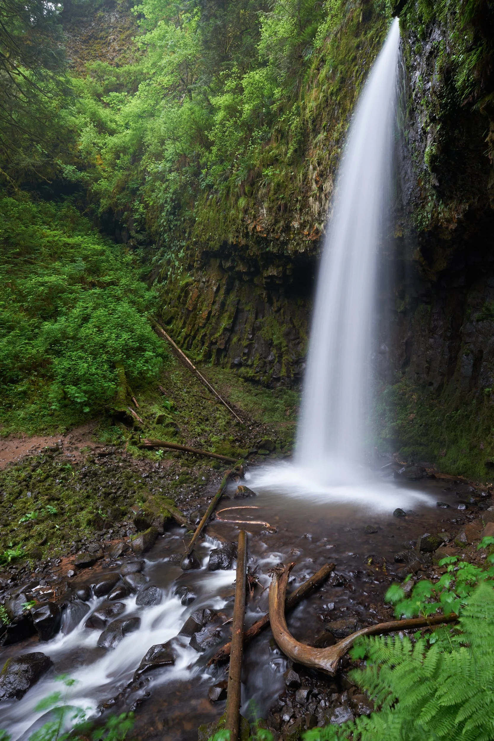 2015-05-24_08-22-16_ColumbiaGorge.jpg