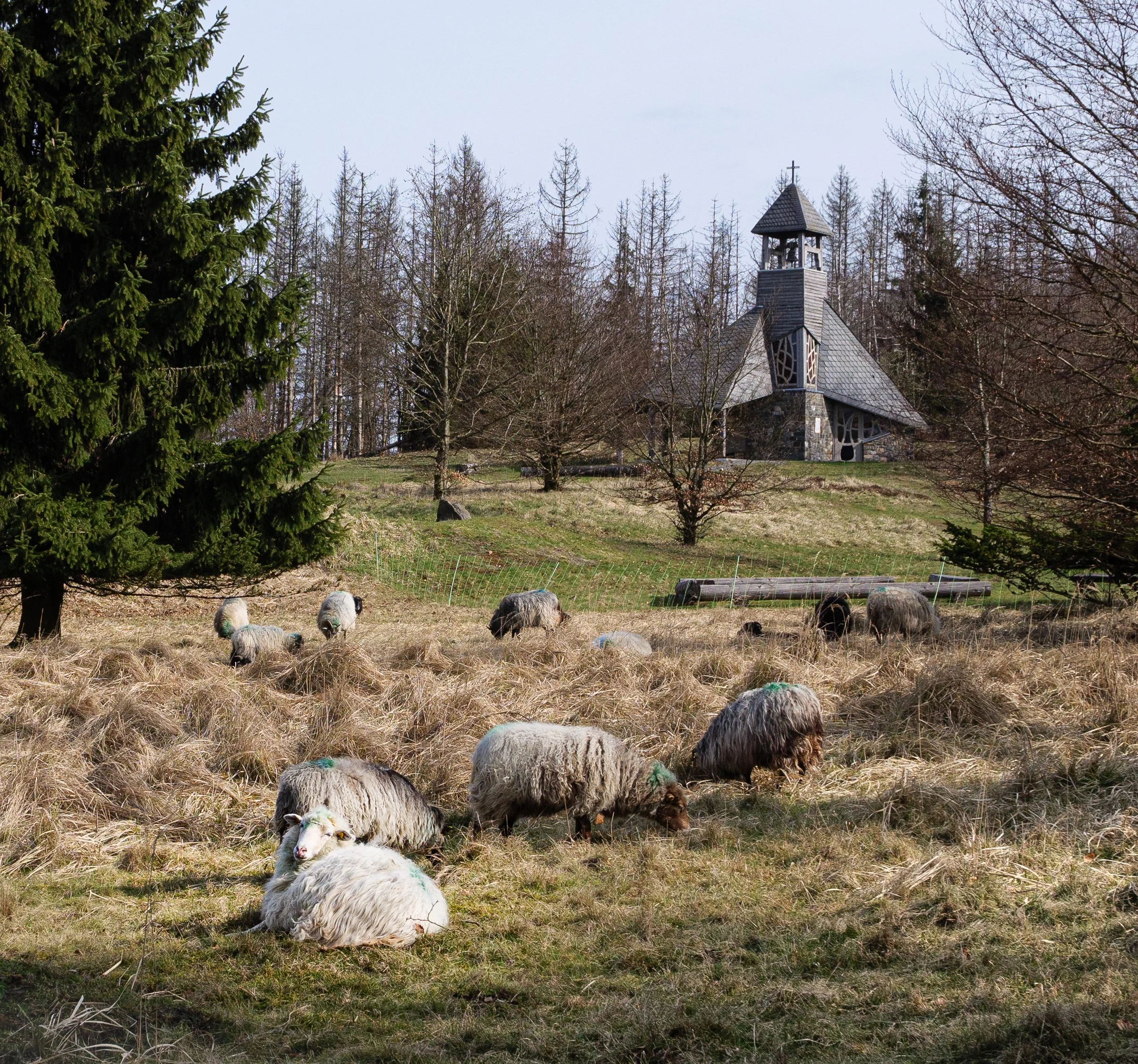 April, Kellerwald-Edersee NP, Germany