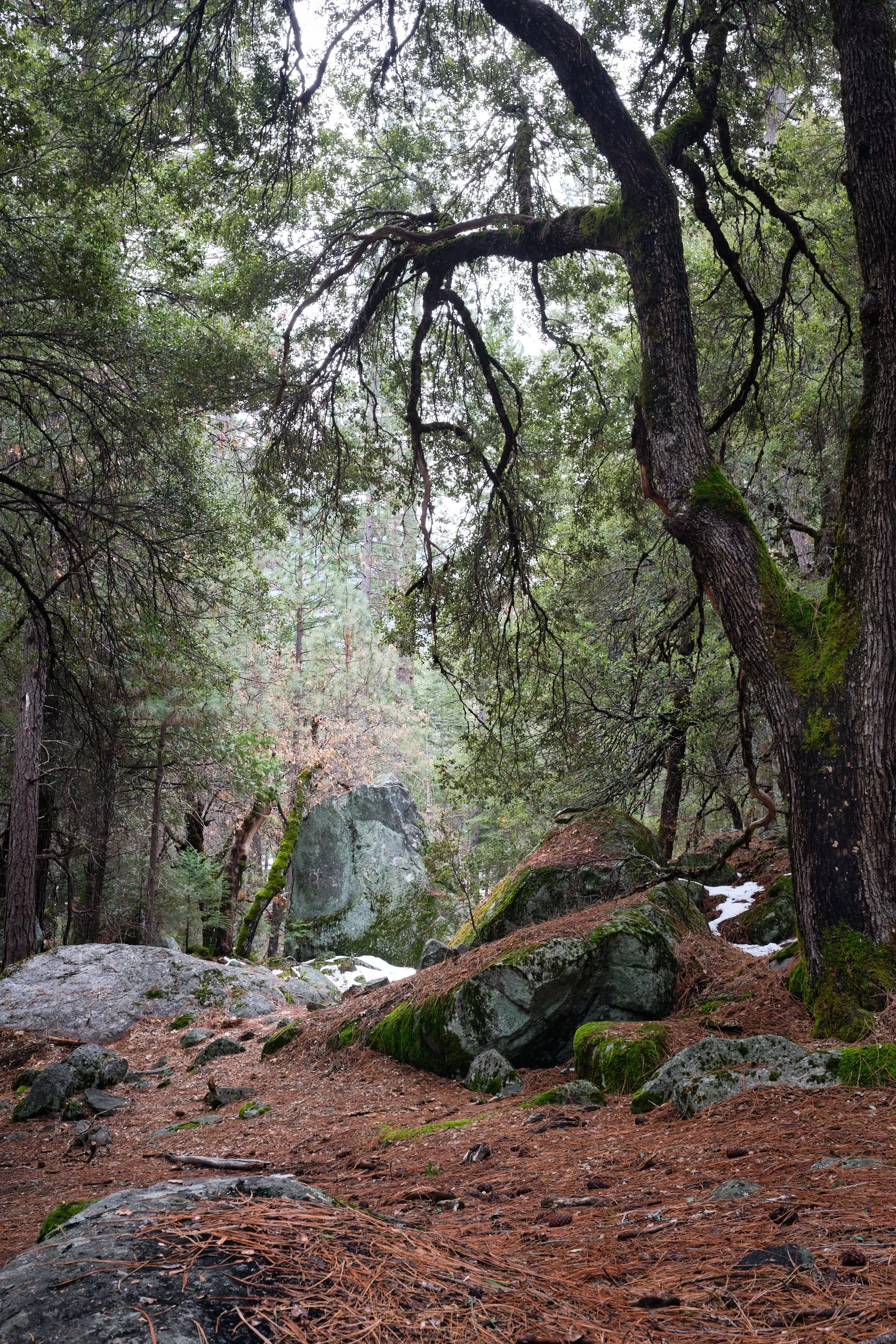 2018-03-10_10-57-20_Yosemite.jpg