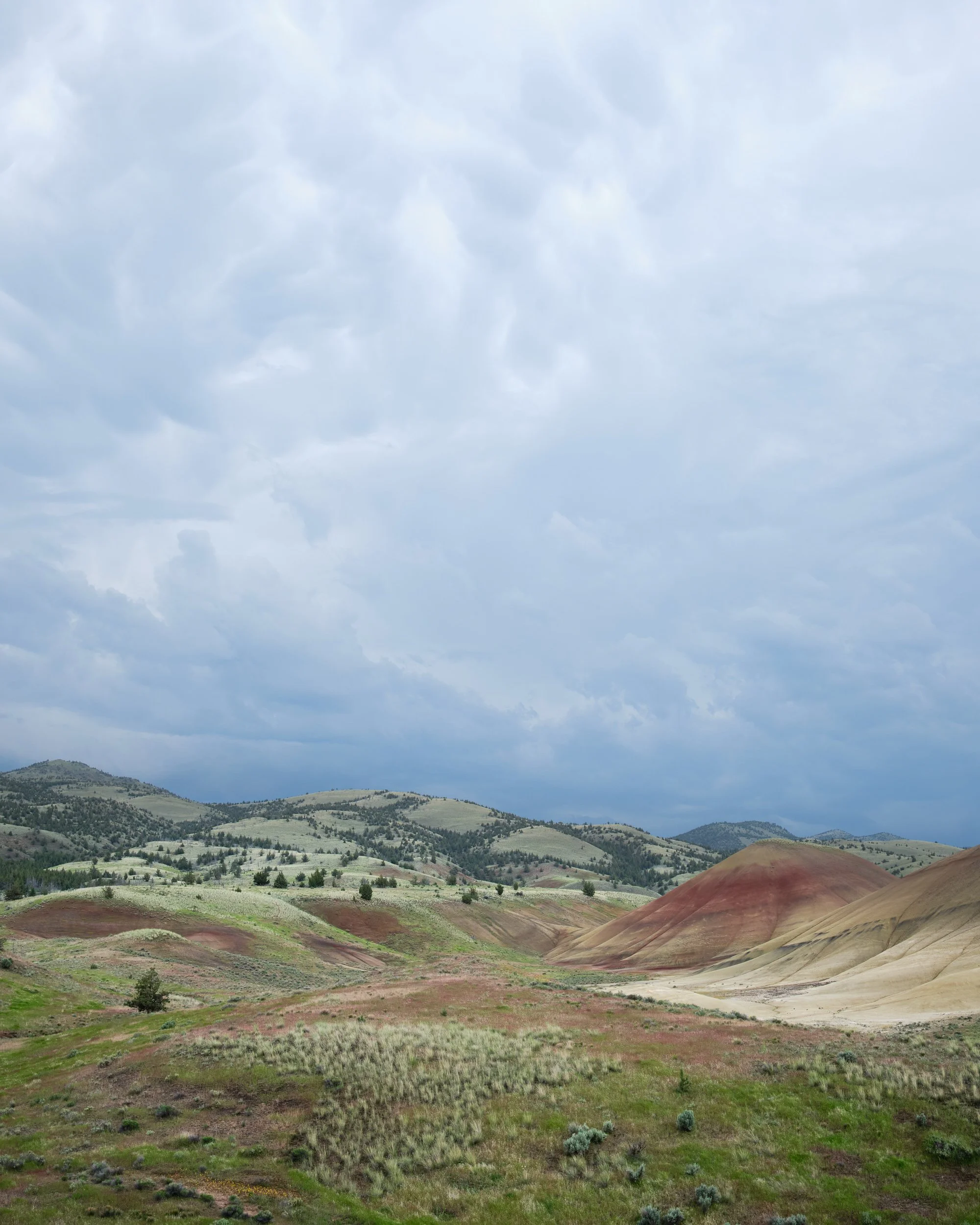 20230521-032824_X-T5.jpg
