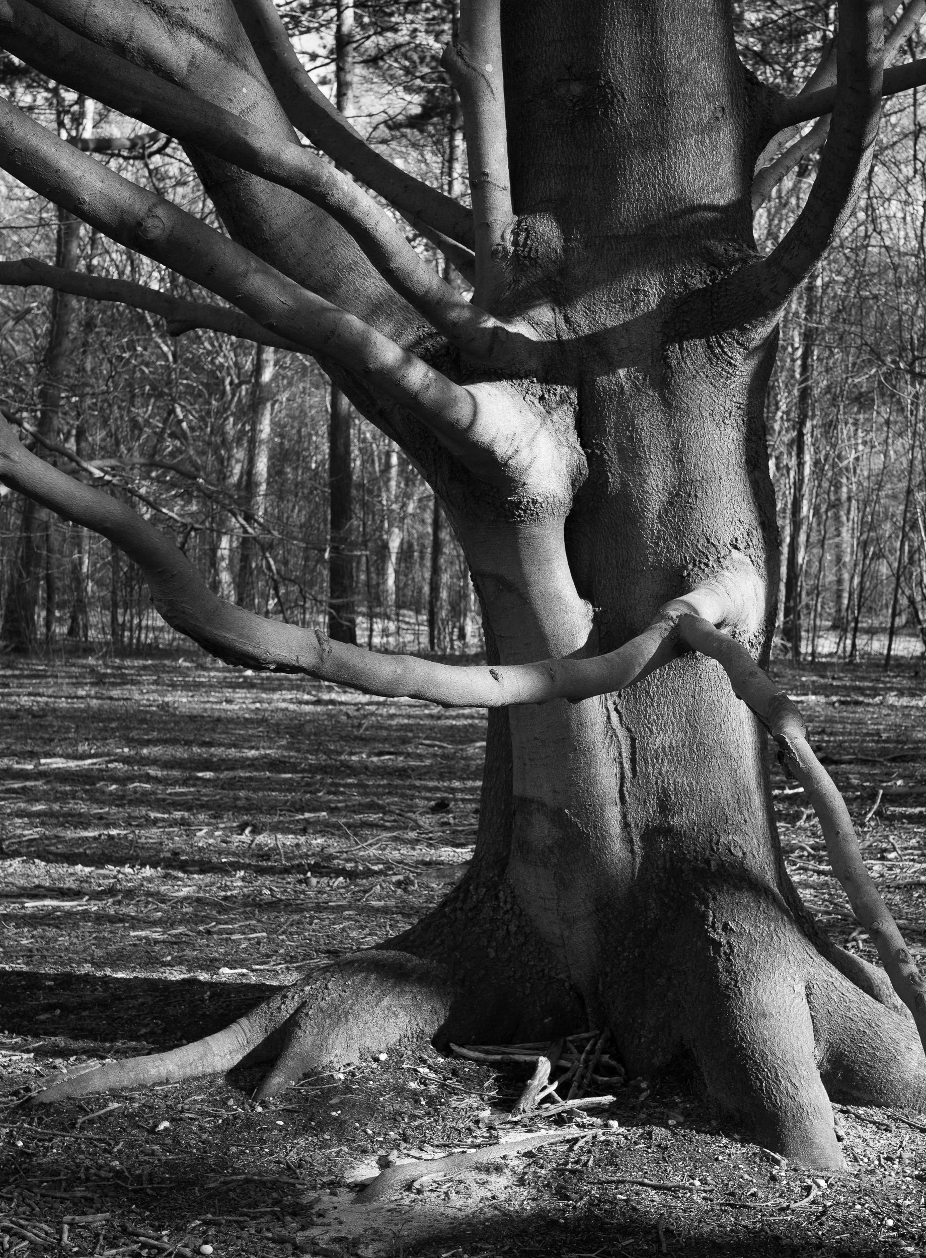20240302-104701-LeicaLEICA Q2 MONO-untitled-2_Blog.jpg