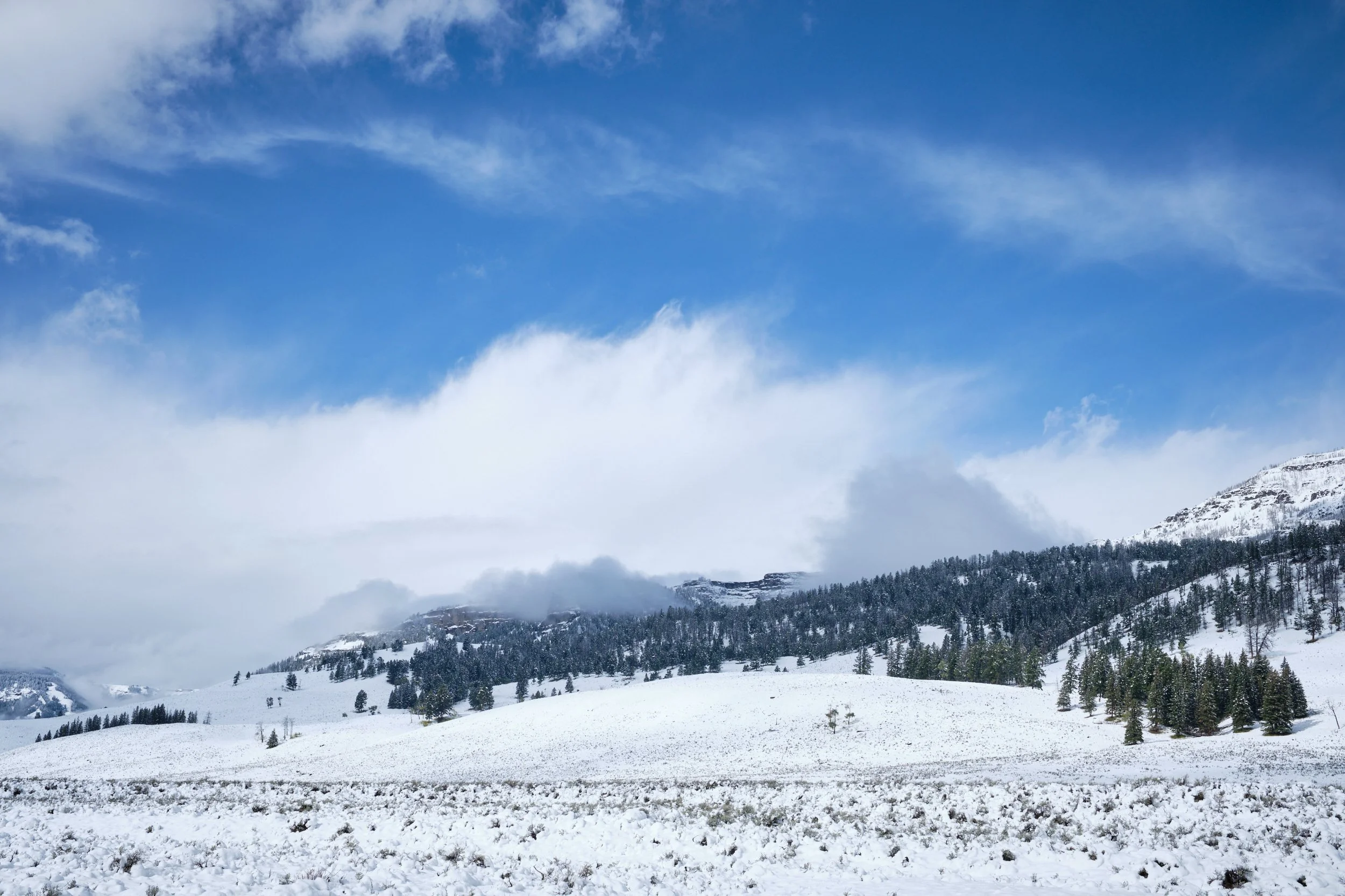 2017-09-22_10-37-11_Yellowstone.jpg