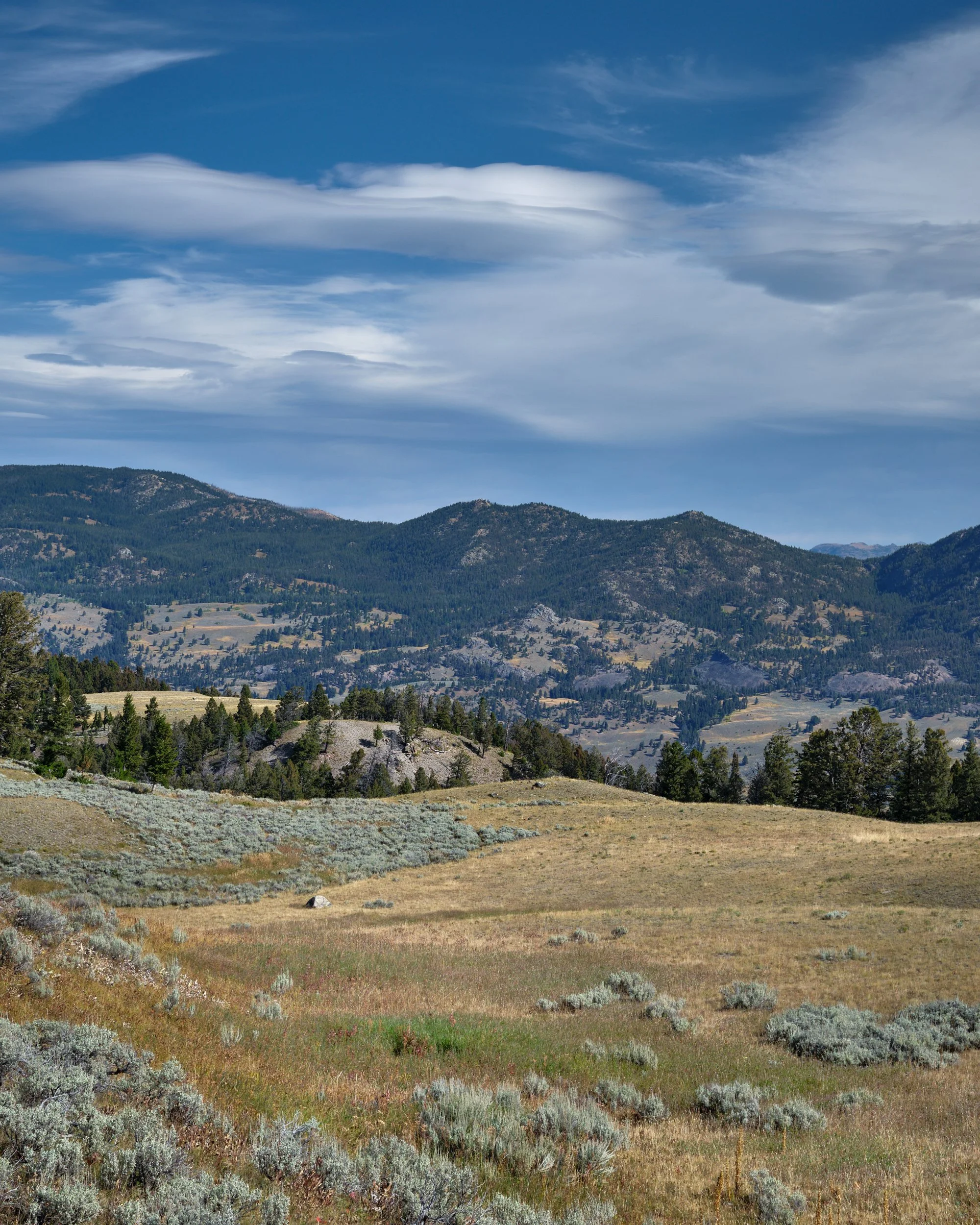 2019-09-16_10-43-21_LamarValley.jpg